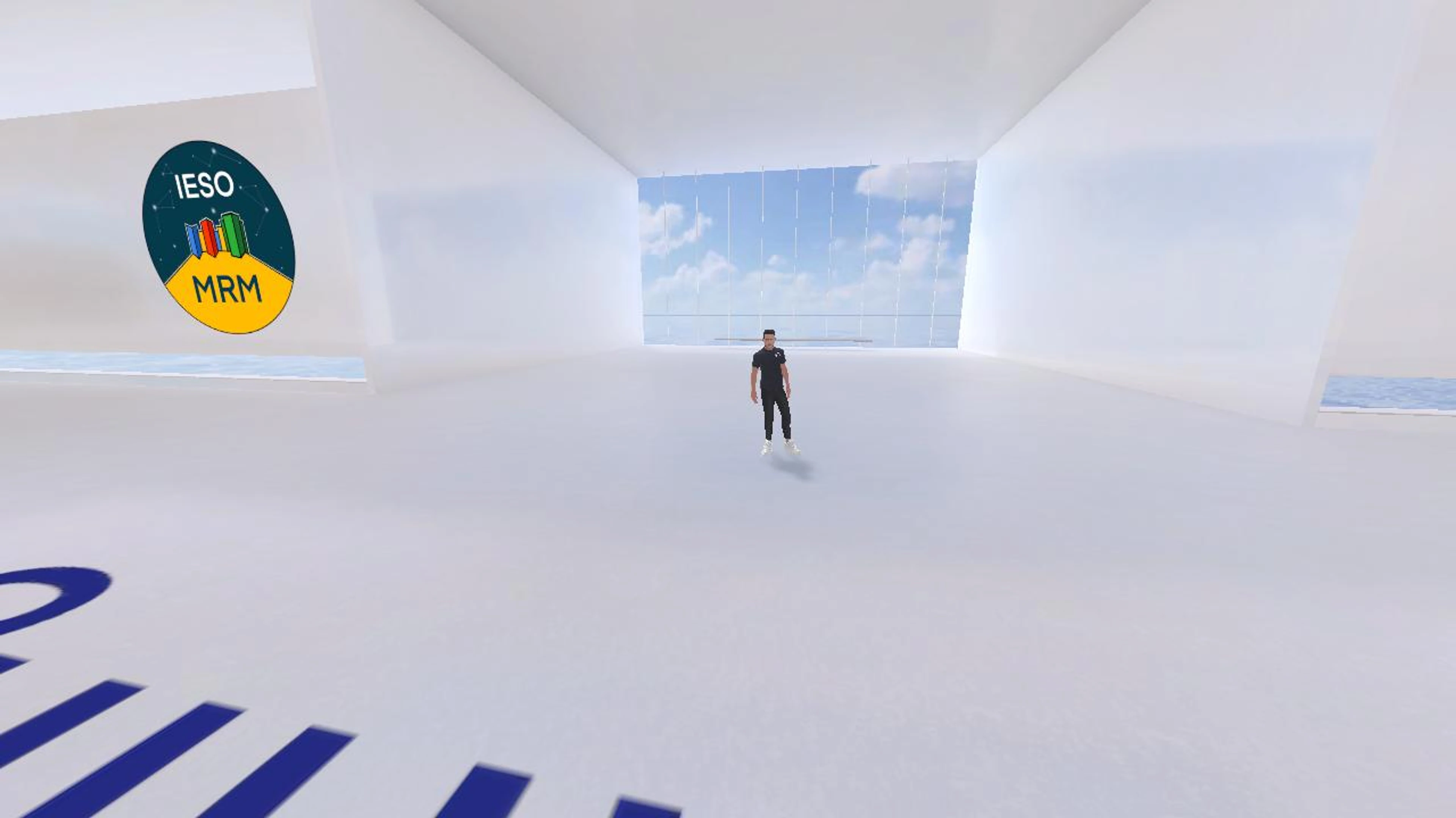 Virtual present for Real future. 2030 GOALS