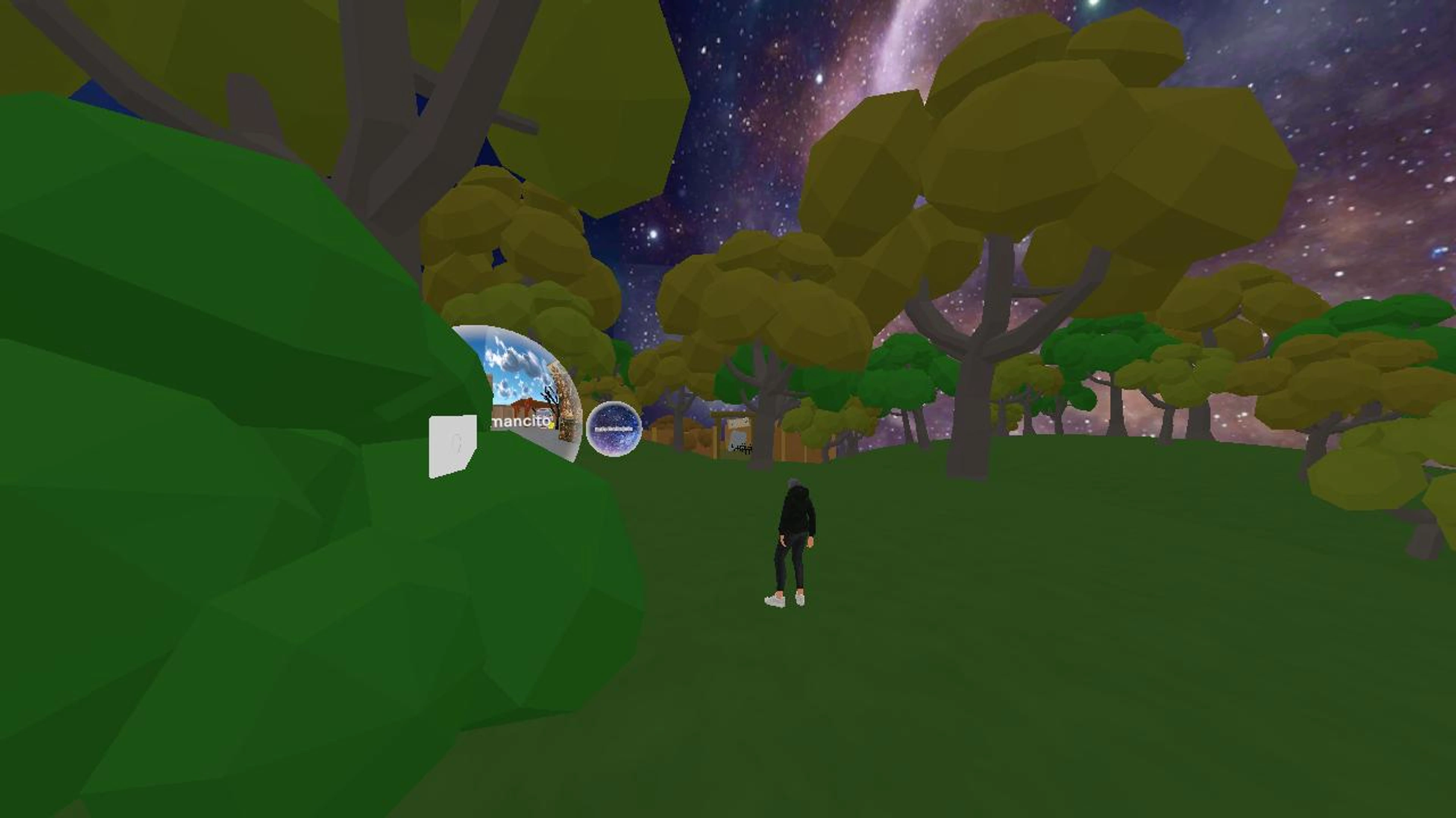 The Woods