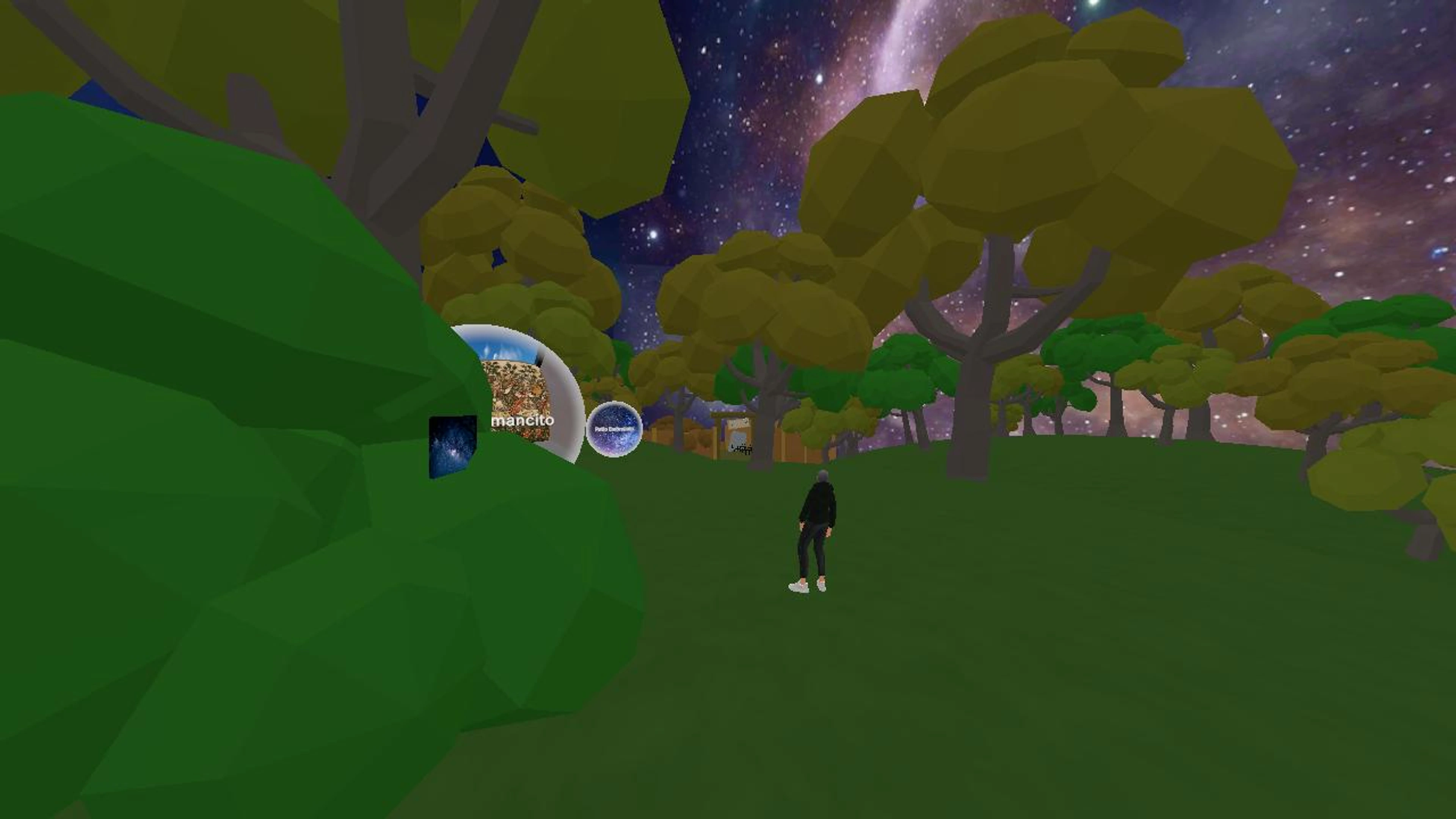 The Woods