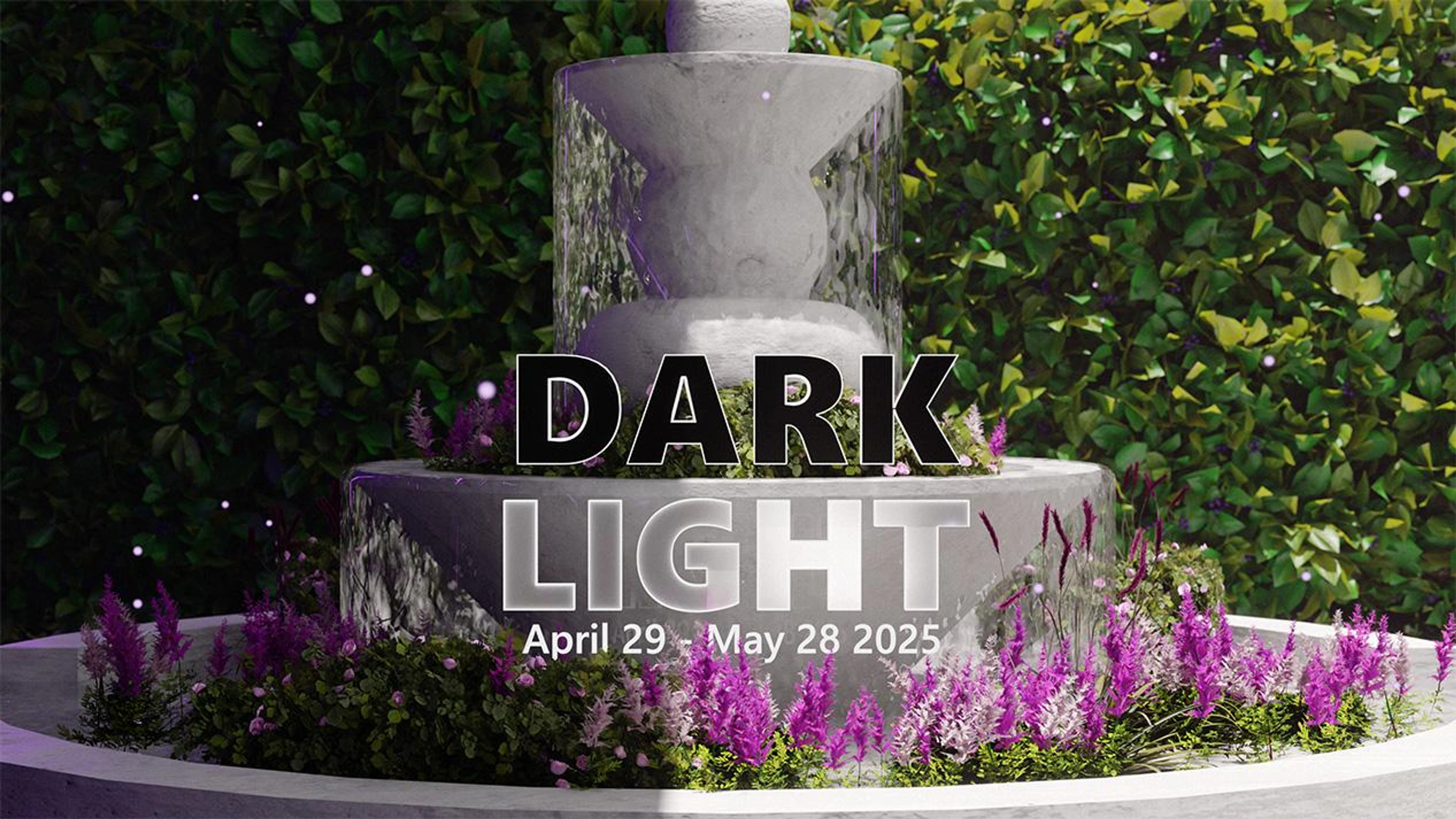 DARK & LIGHT