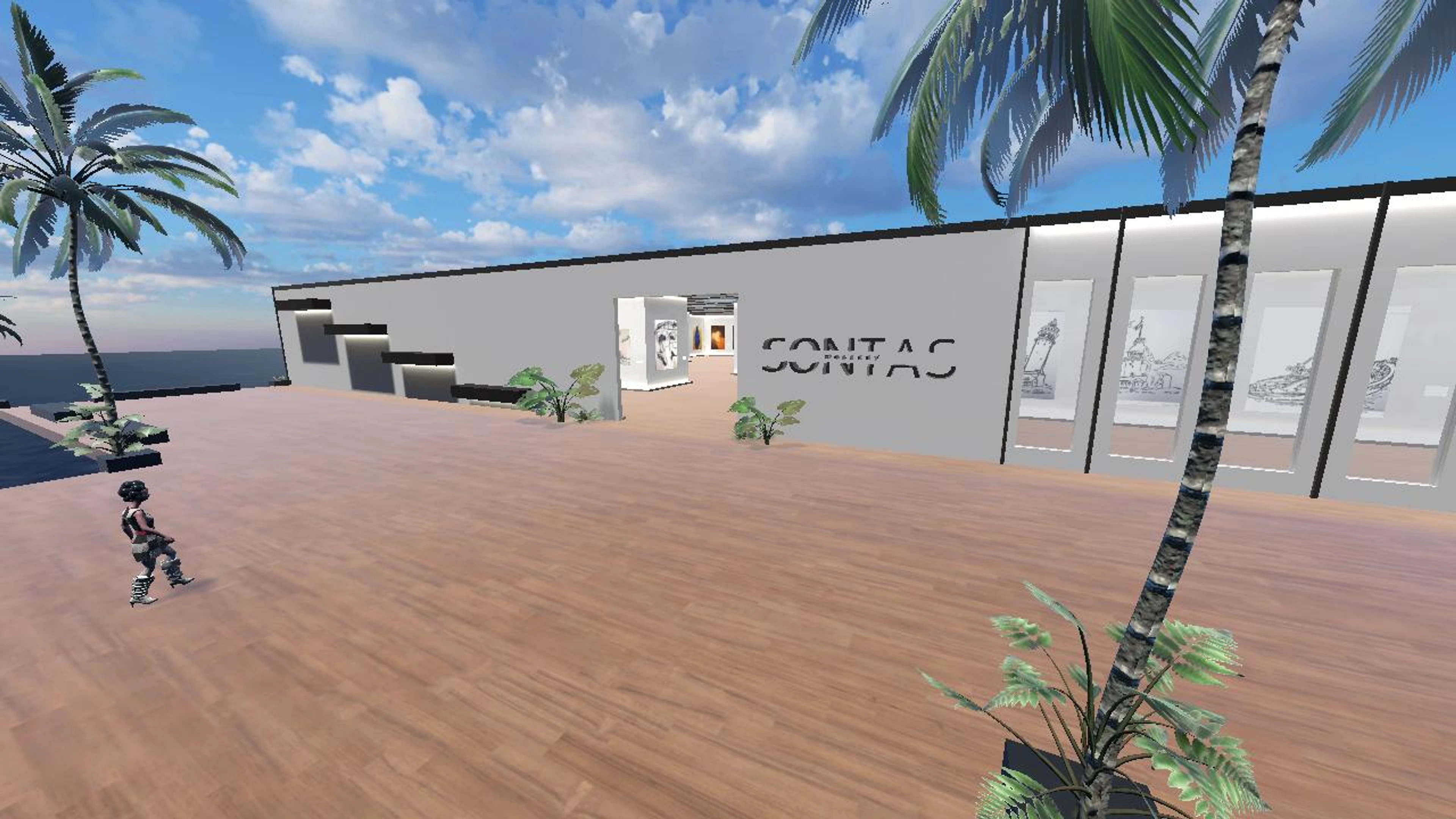 sontas gallery
