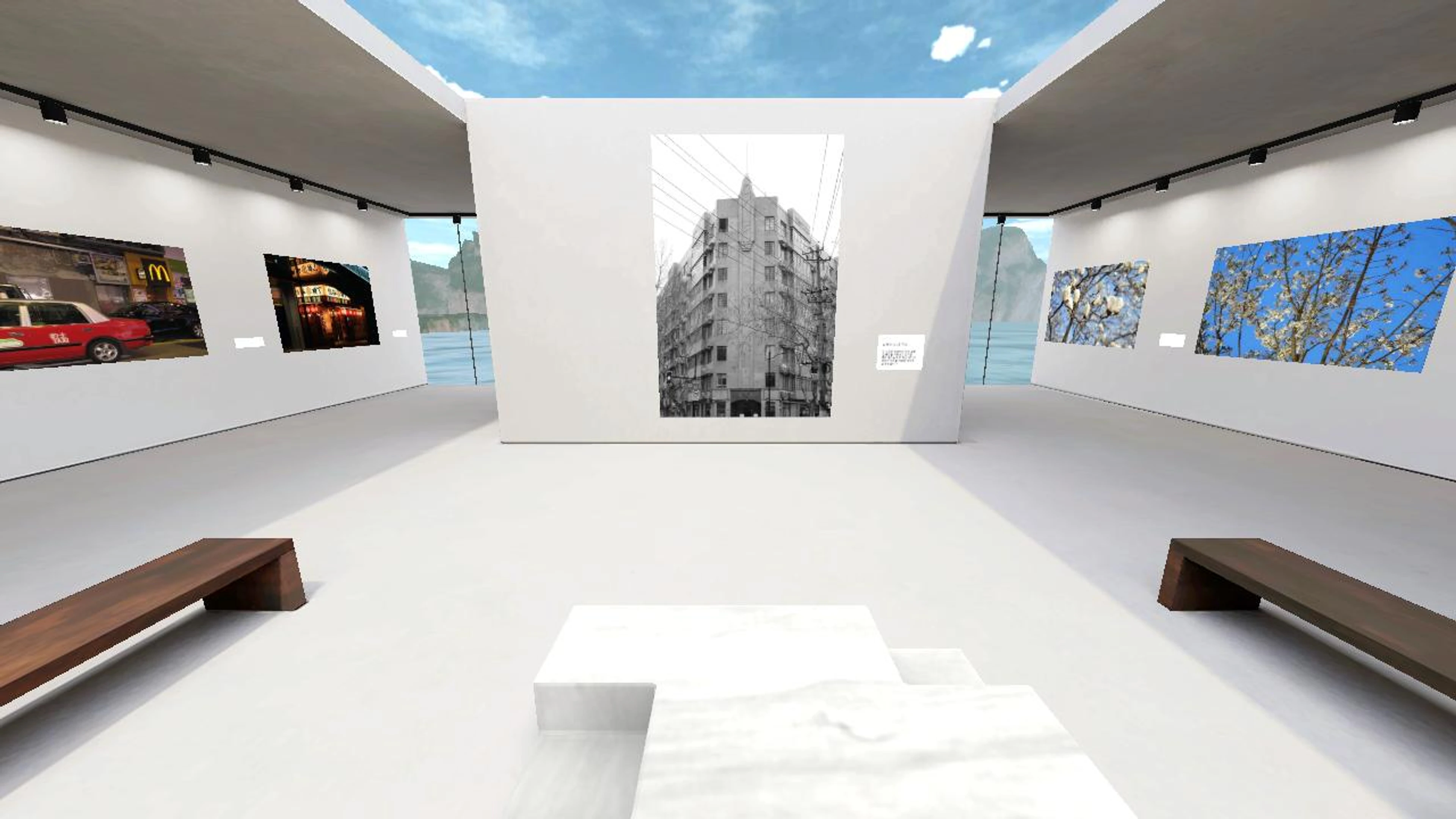 ronnie's Virtual Area