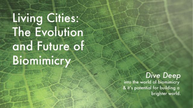 Re-Emergence - The Future of Biomimicry