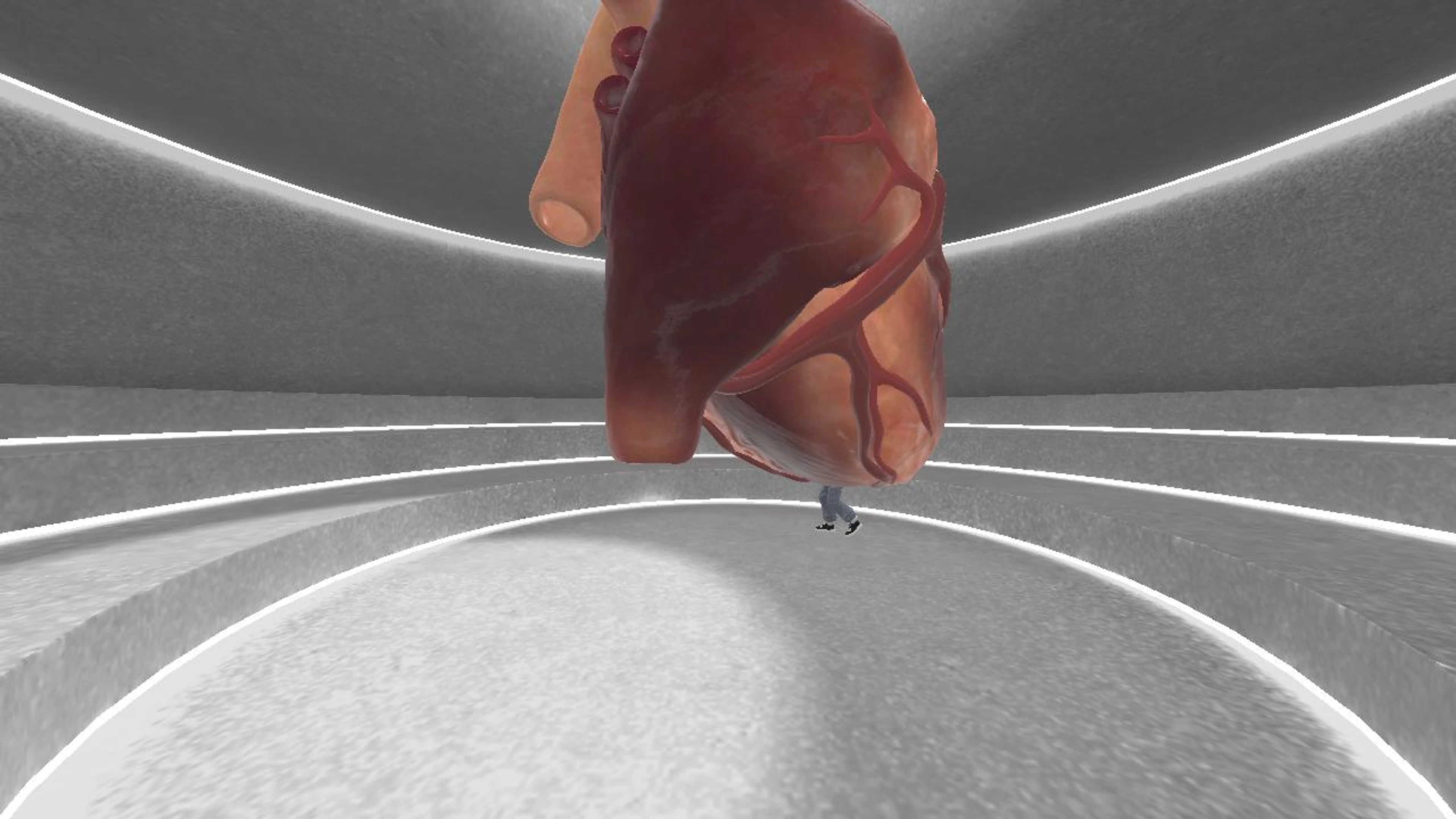Mediocardio