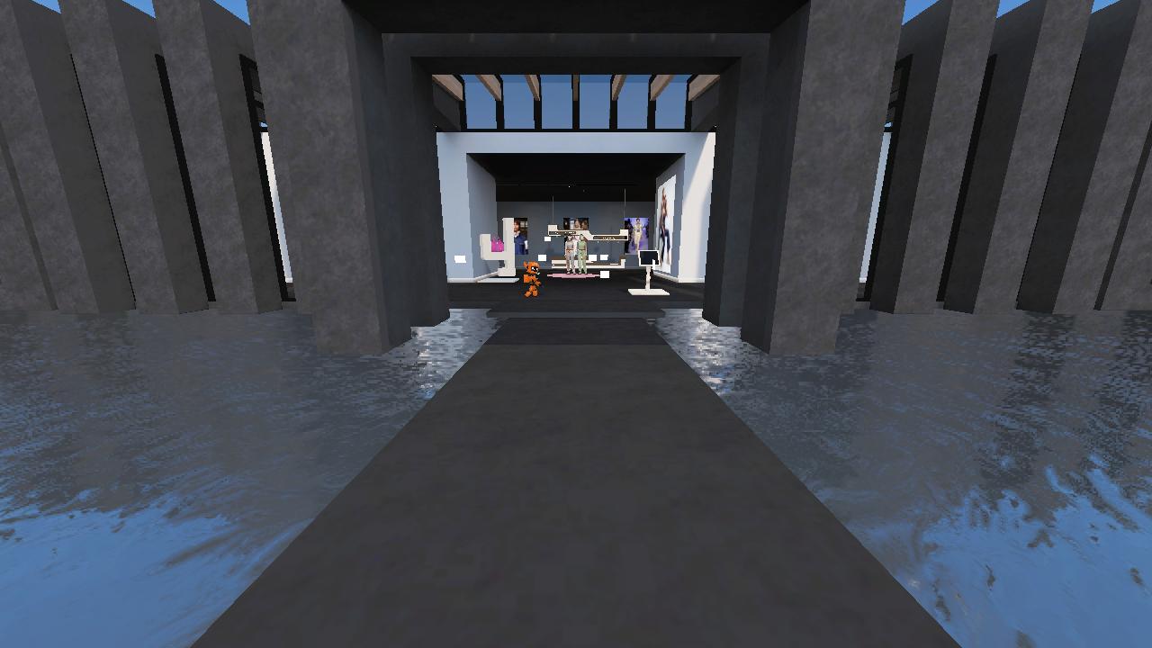 Erika's Immersive Meetup
