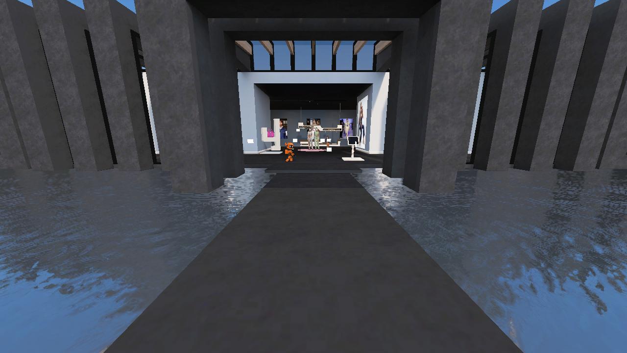 Erika's Immersive Meetup