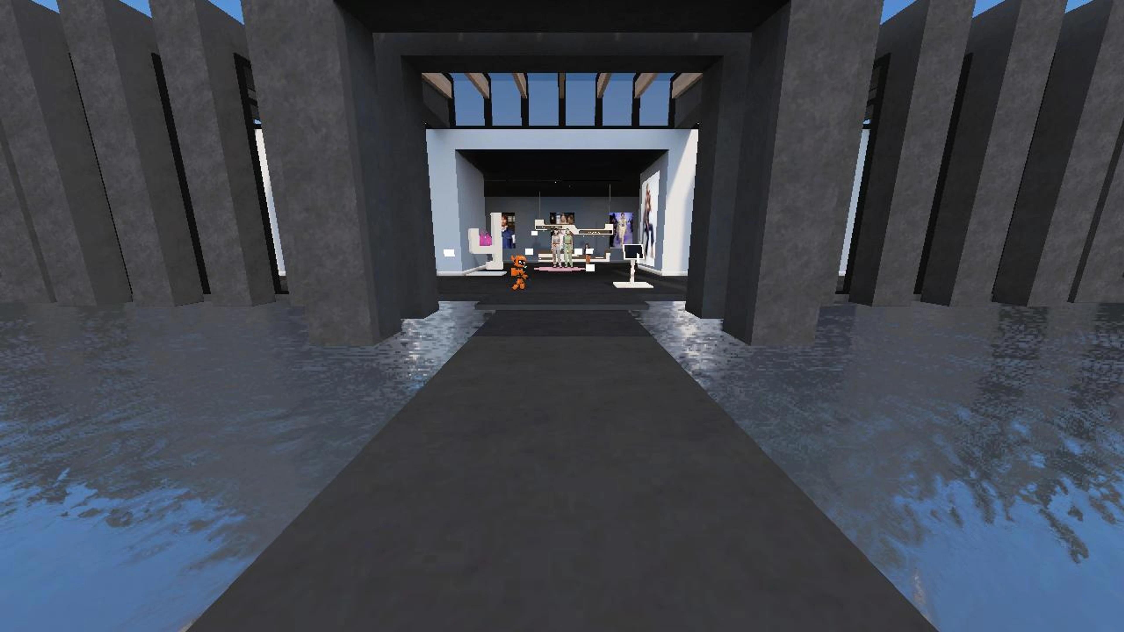 Erika's Immersive Meetup