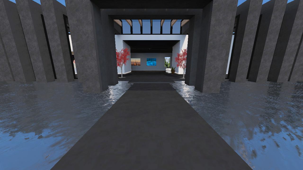 assisi vr