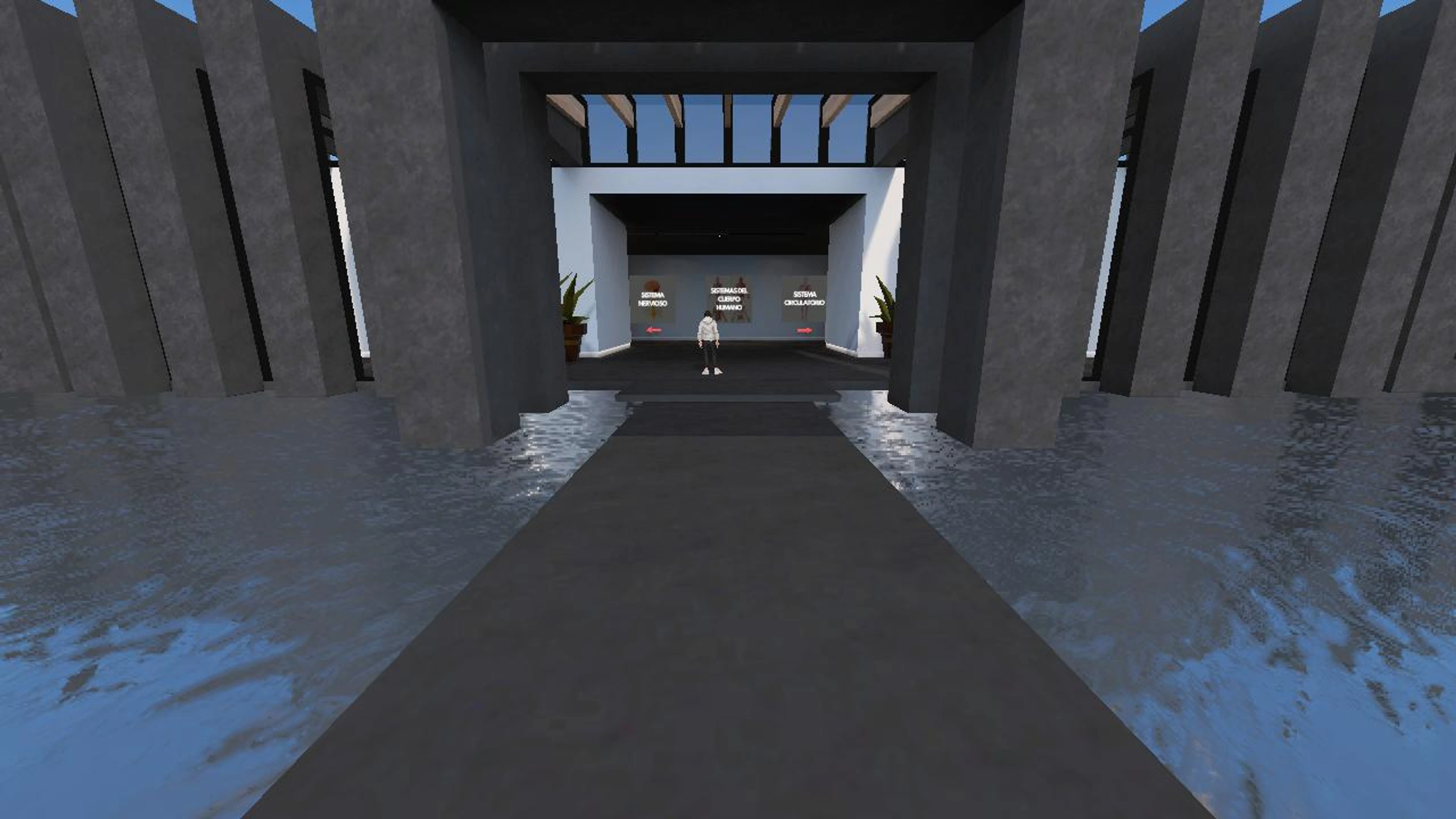 Sistemas del Cuerpo Humano