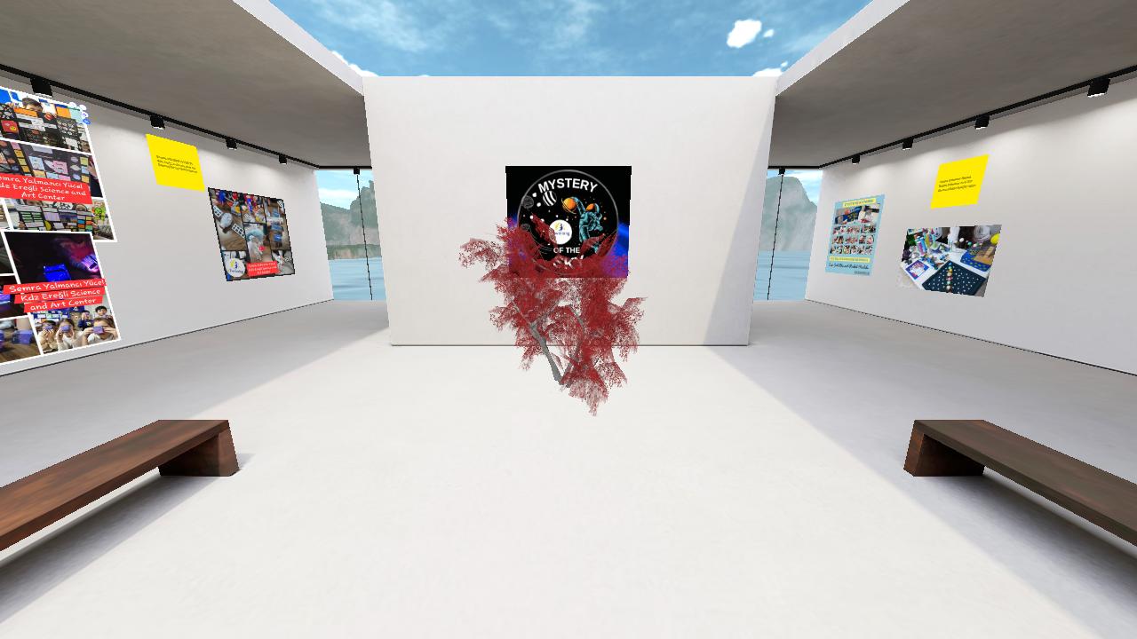 Mystery of The Sky eTwinning Project