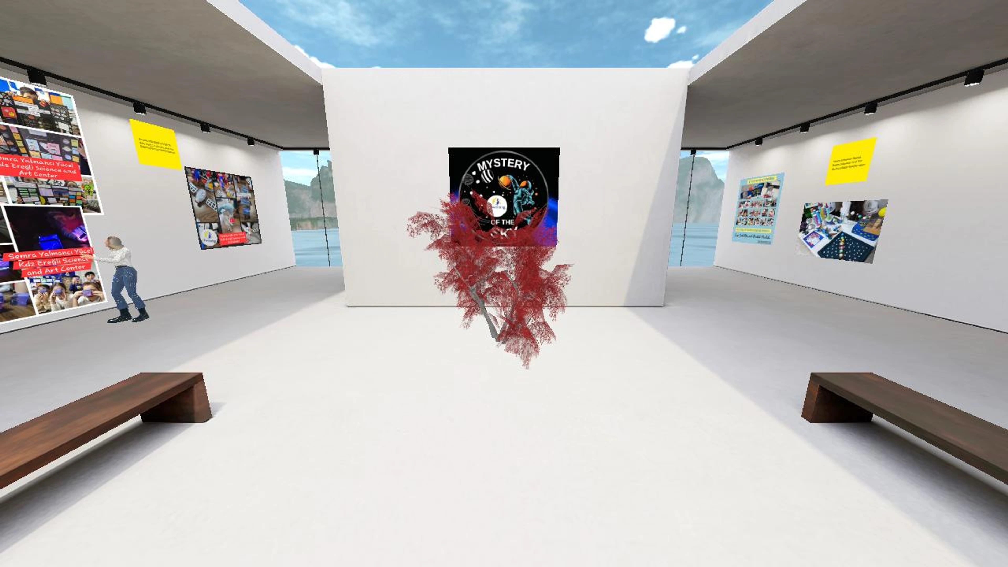 Mystery of The Sky eTwinning Project