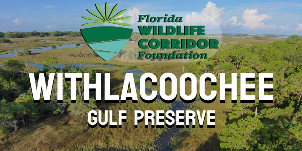 Withlacoo chee Gulf Preserve