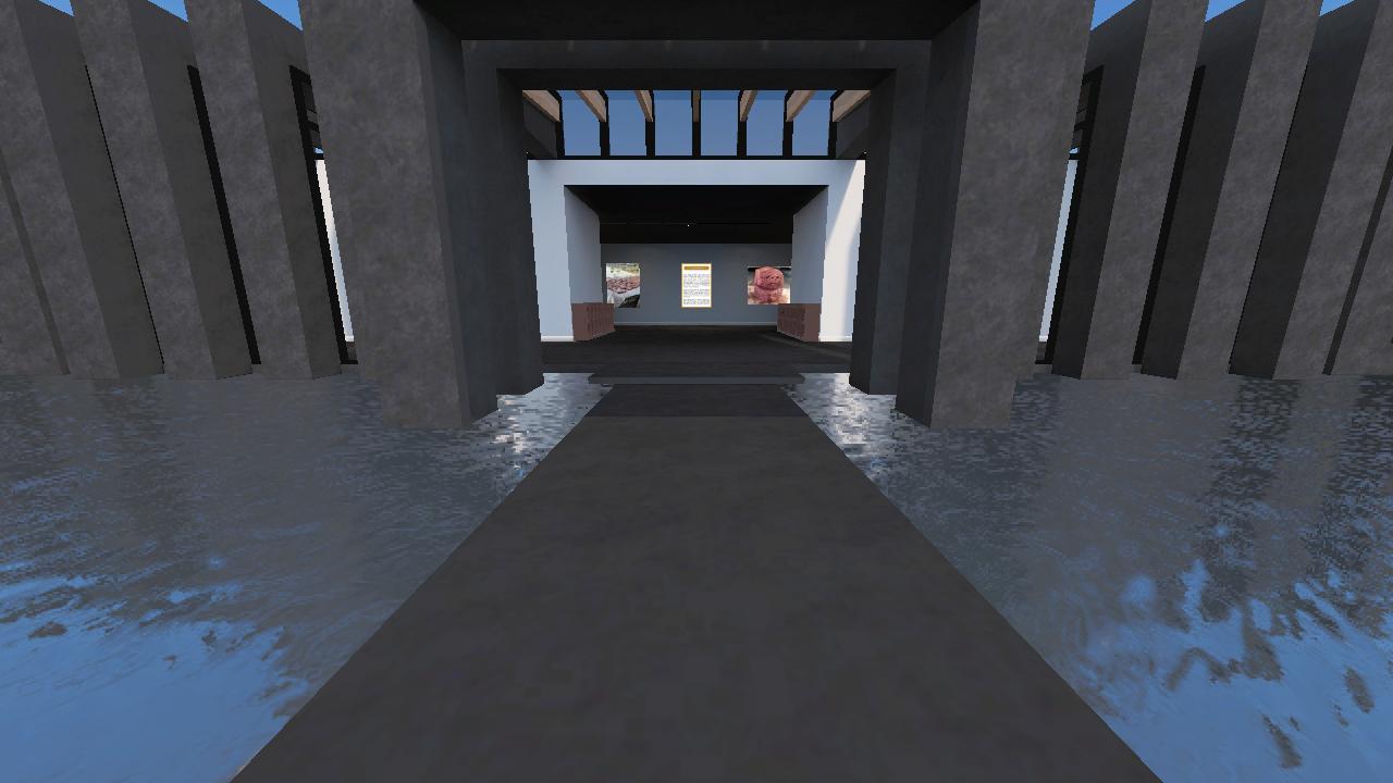 Dzaky house