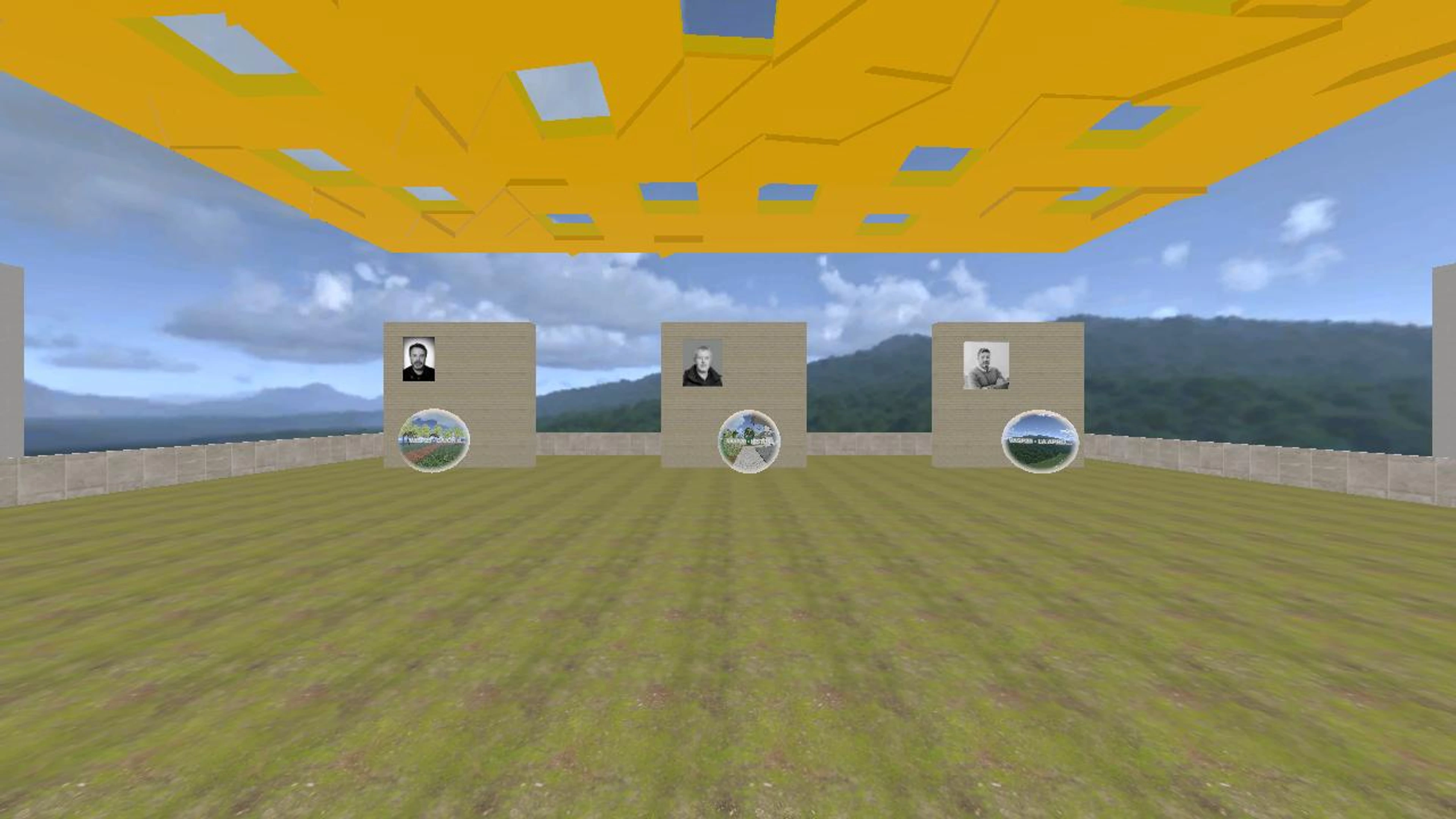 VASP25 Hall Virtual Exhibitions