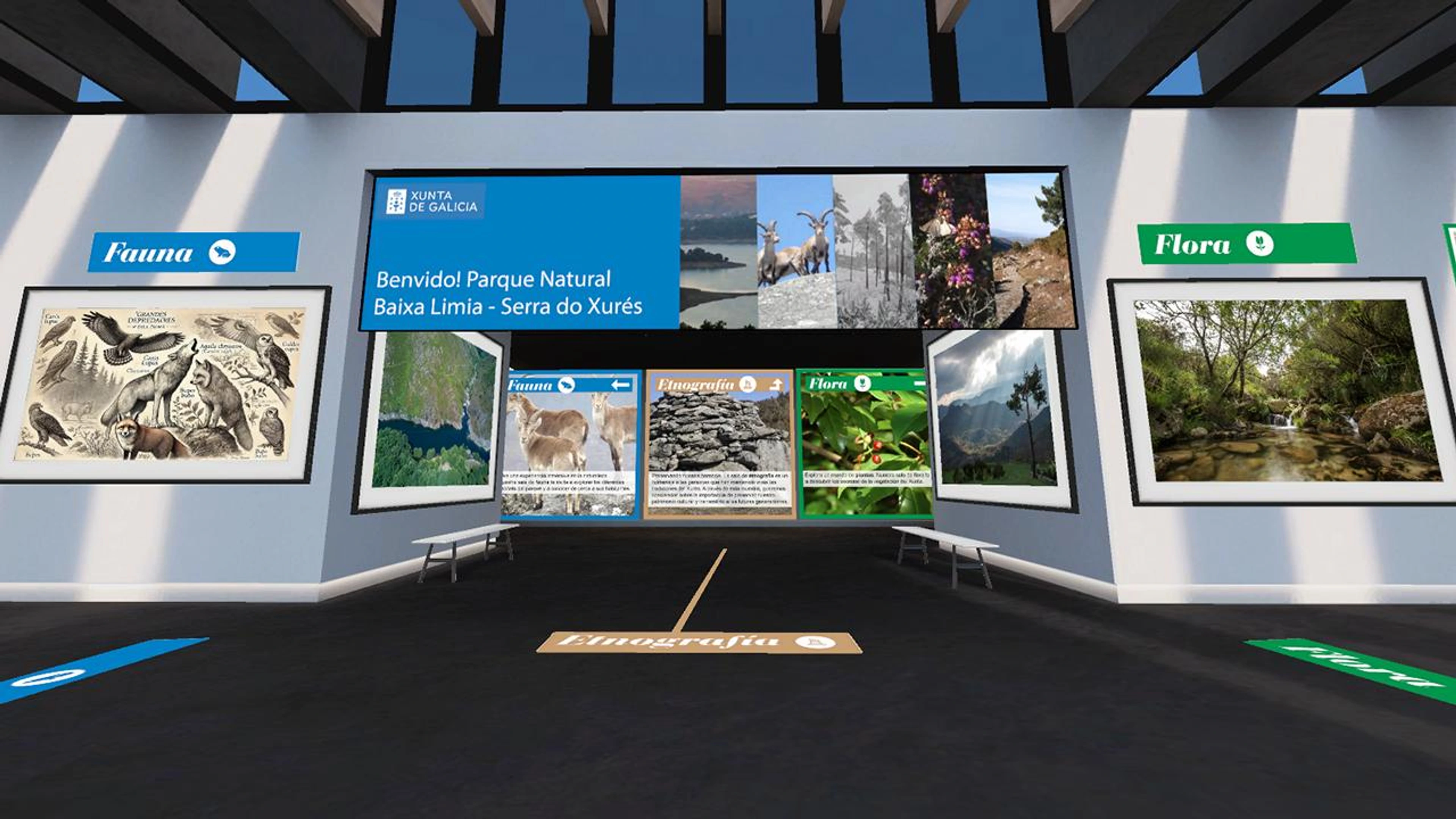 GL_BaixaLimia_SerradoXures_MUSEOVIRTUAL's 