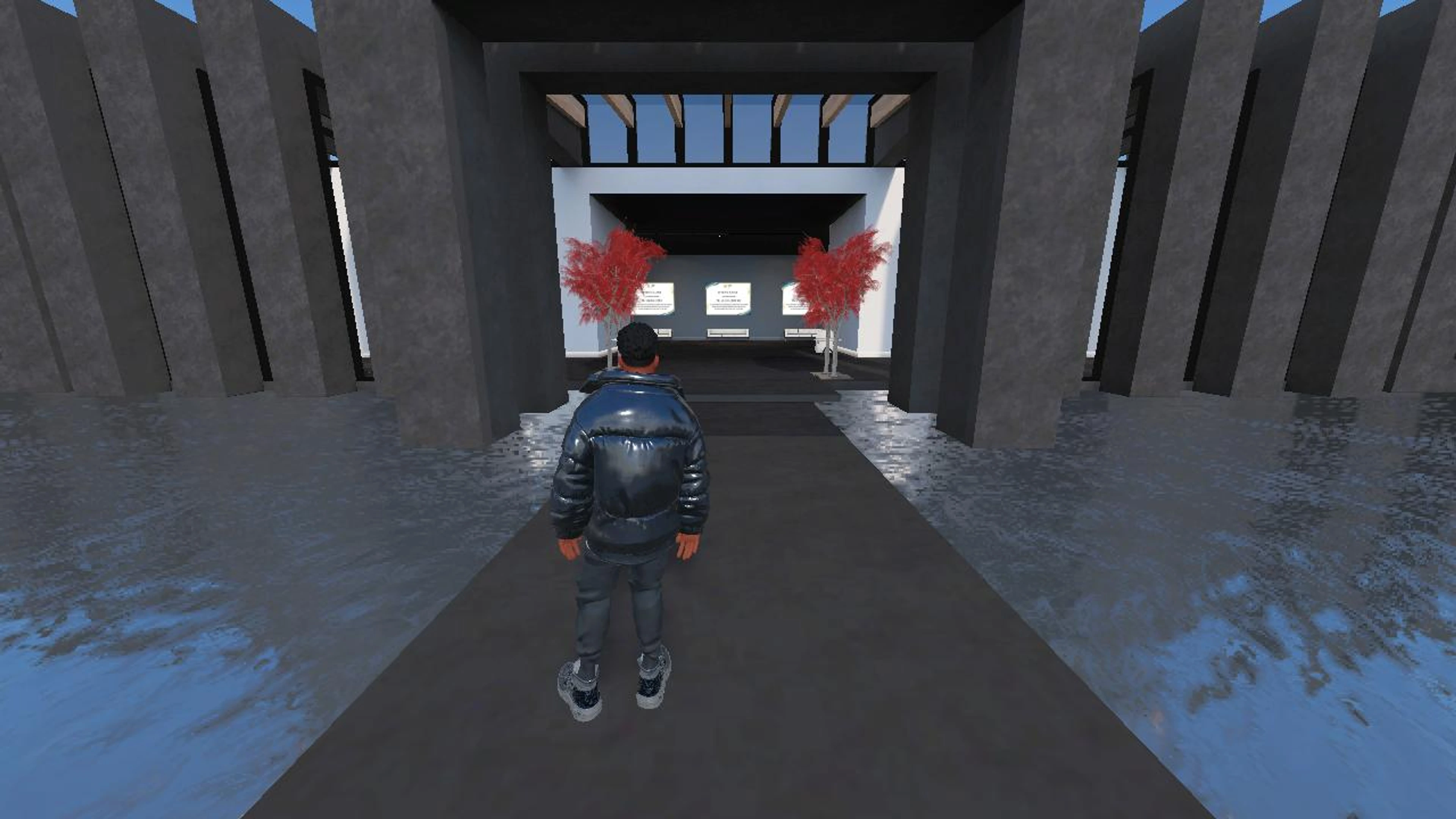 virgi's Immersive Place