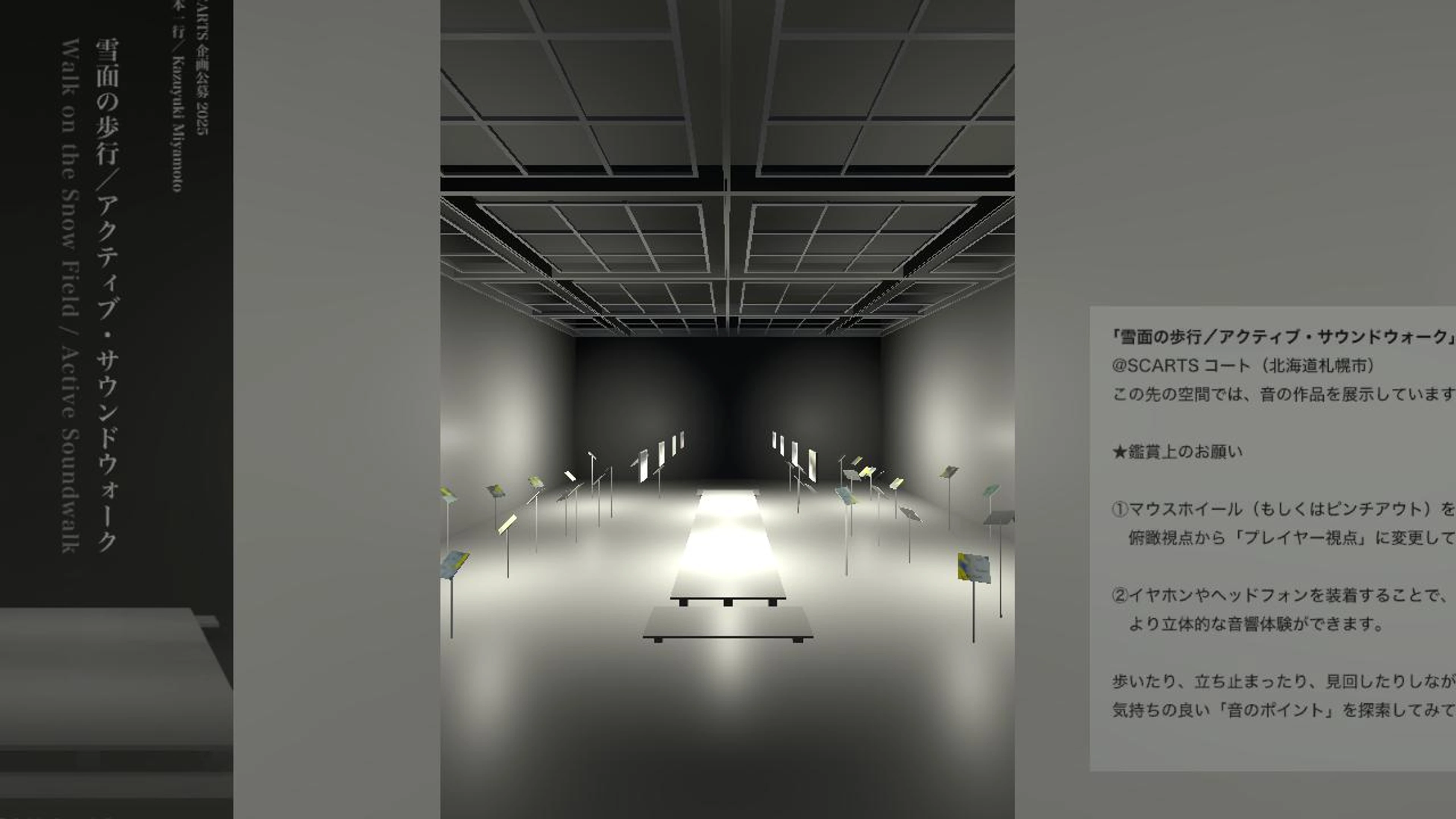 Walk on the Snow Field / Active Soundwalk