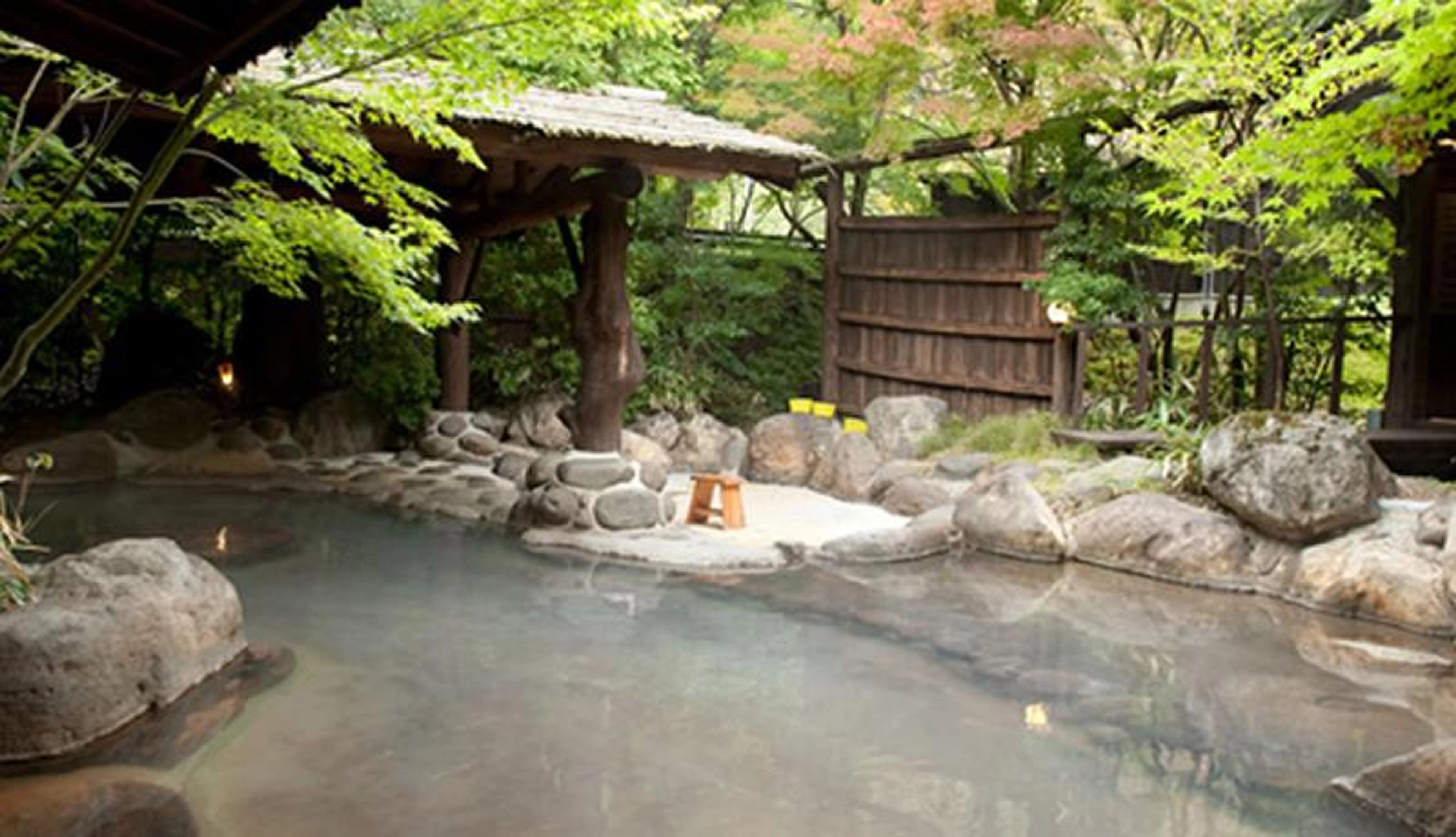 Japan Digitus