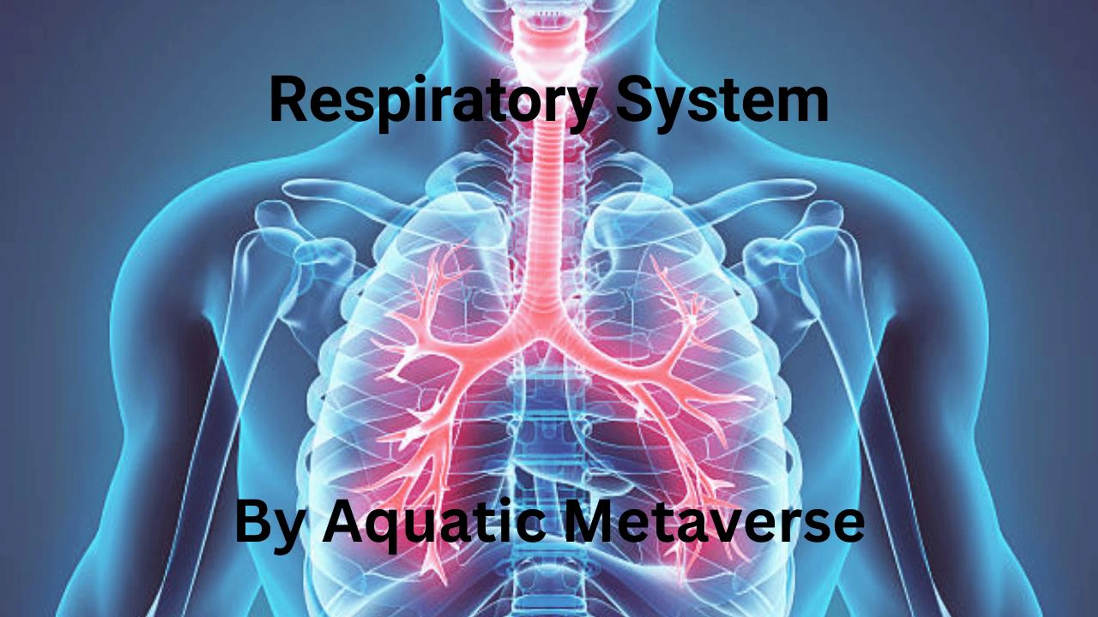 Respiratory System (Family)