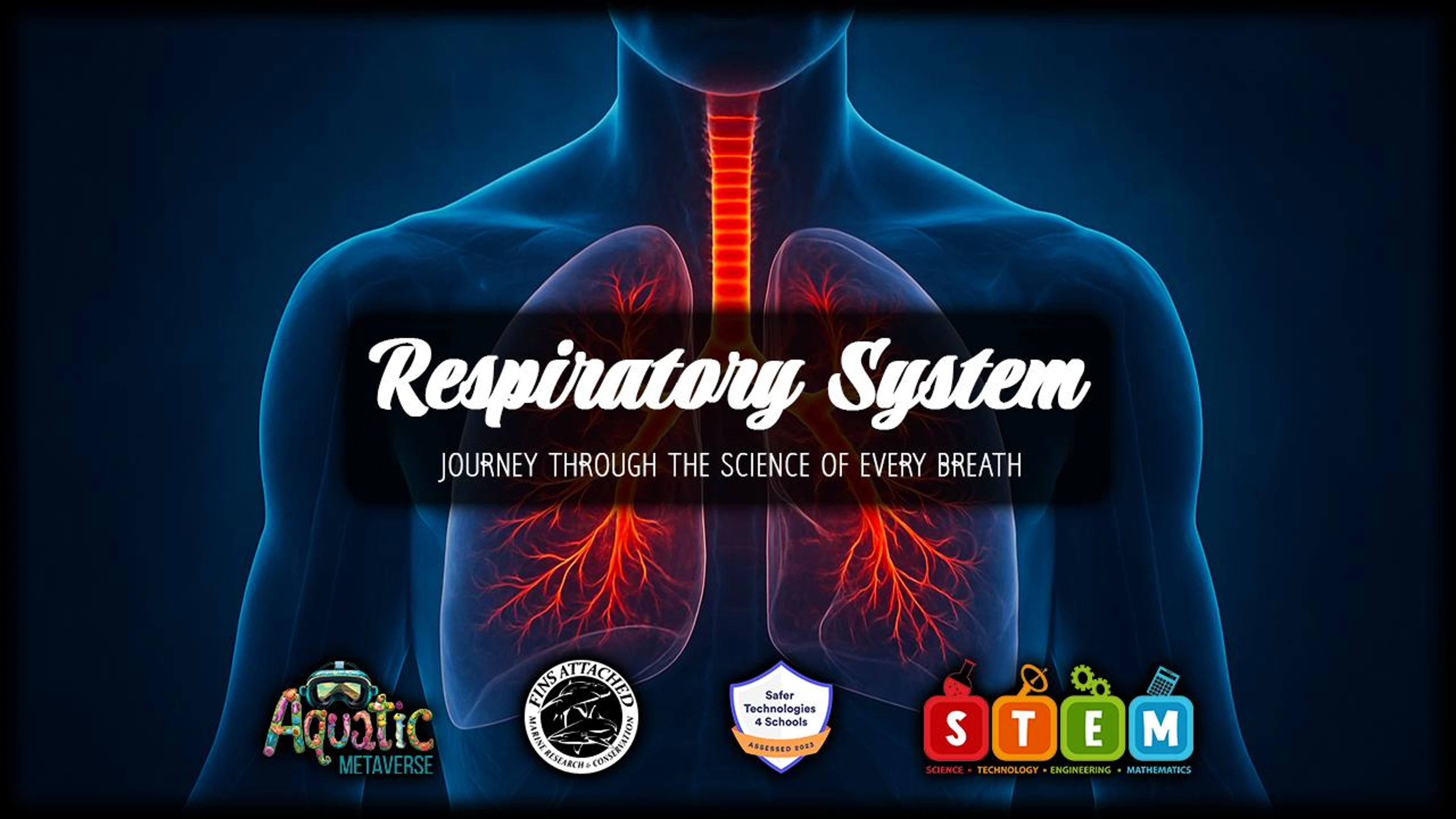 Respiratory System (Education)