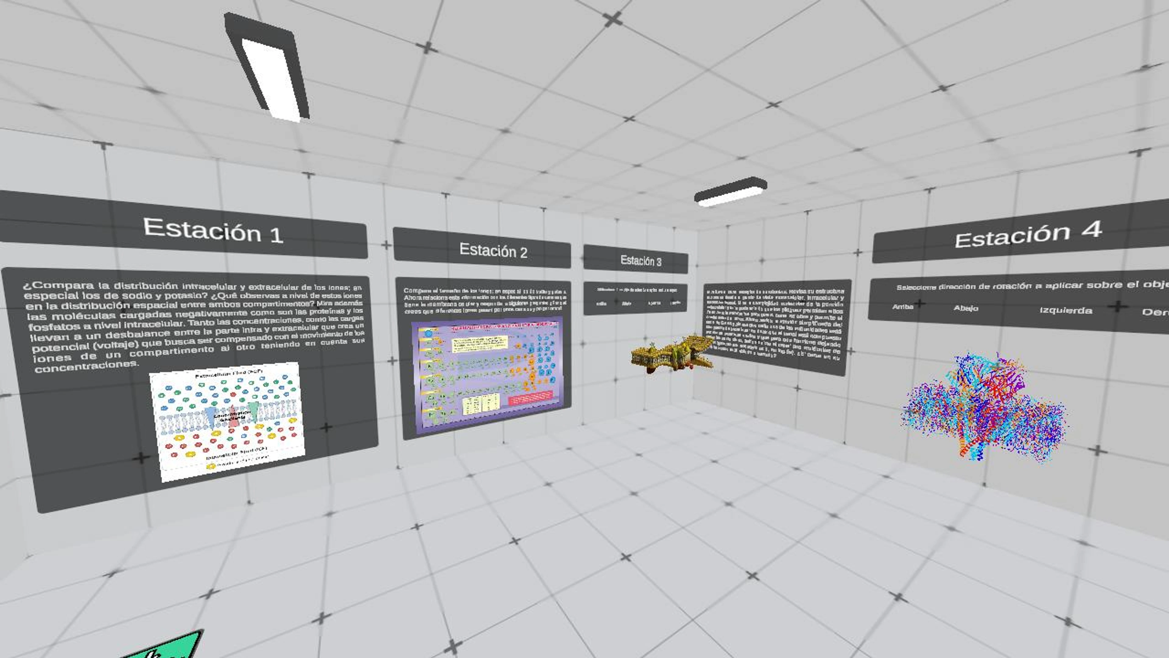 Neuronas y codificación de información 