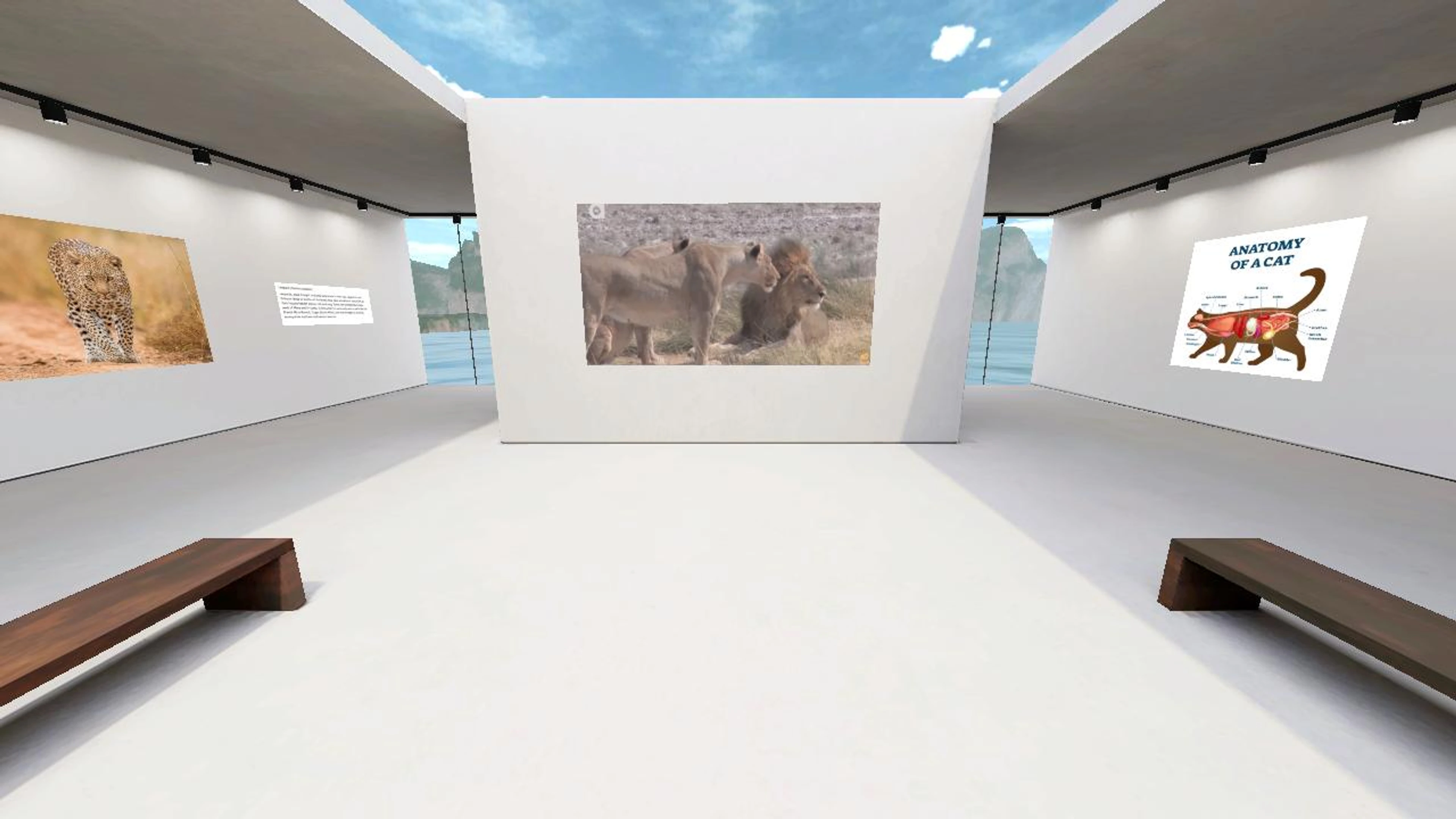 Maja99's Virtual World