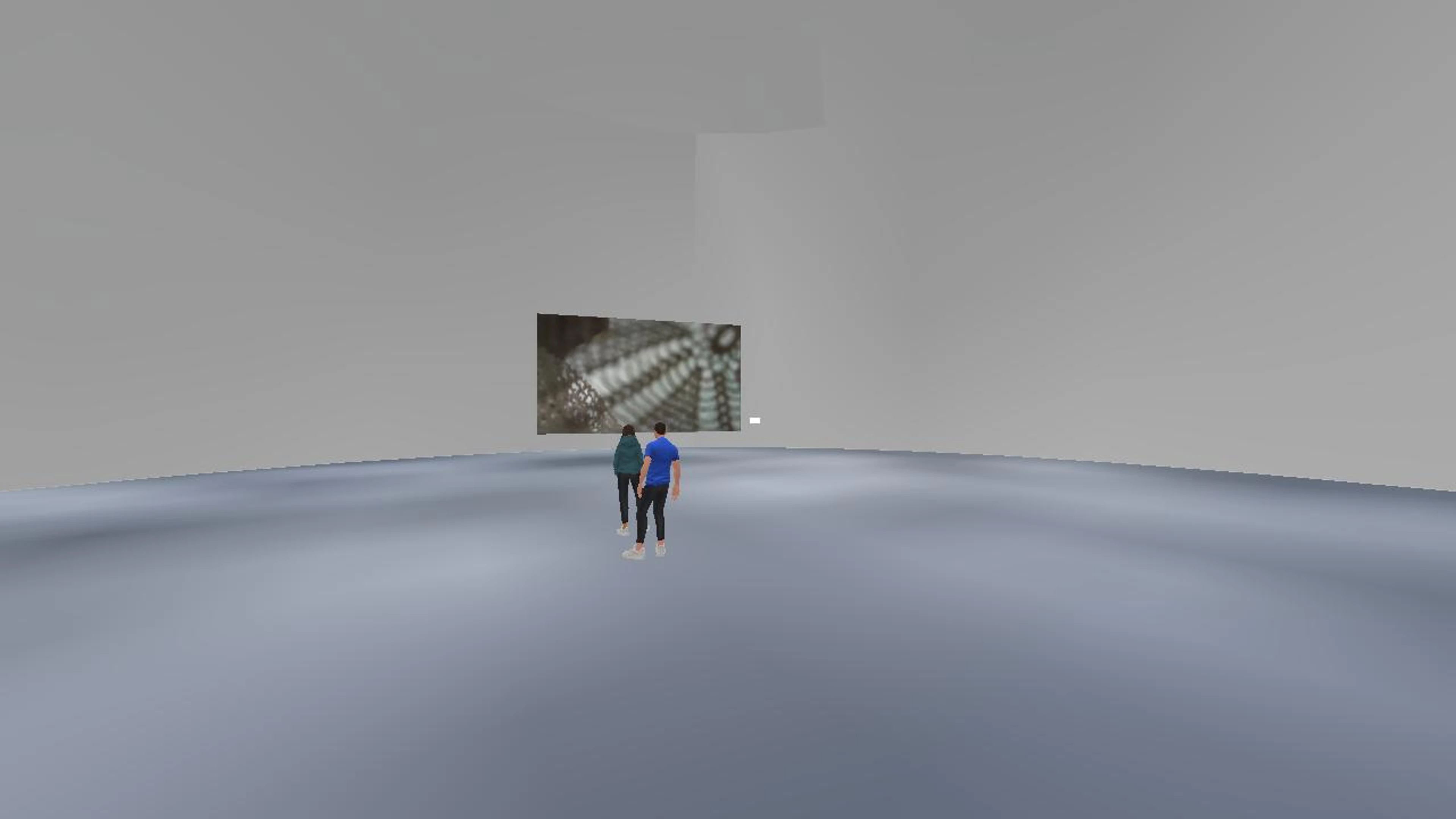 DISAPPEARED MIRRORS OF FERNANDO PESSOA