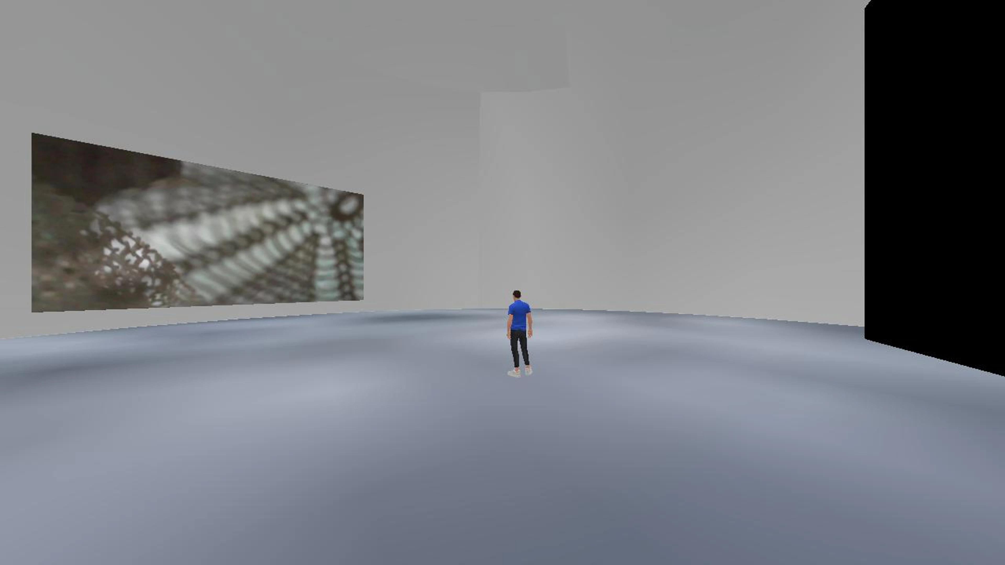 DISAPPEARED MIRRORS OF FERNANDO PESSOA