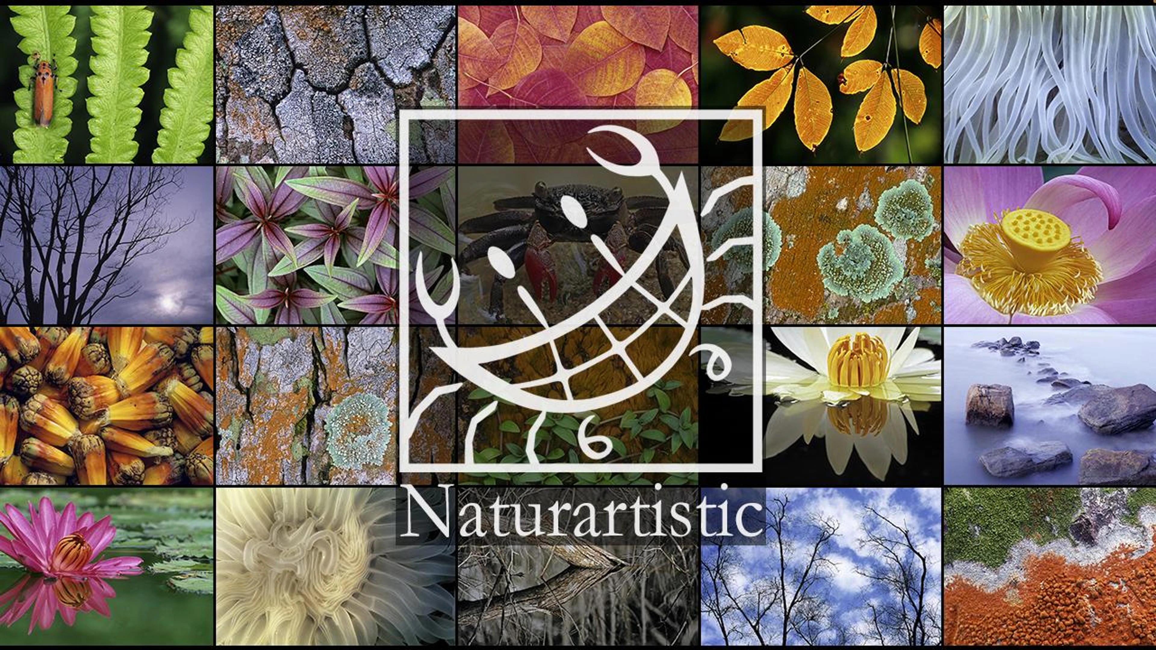 Virtuo Naturartistic. com