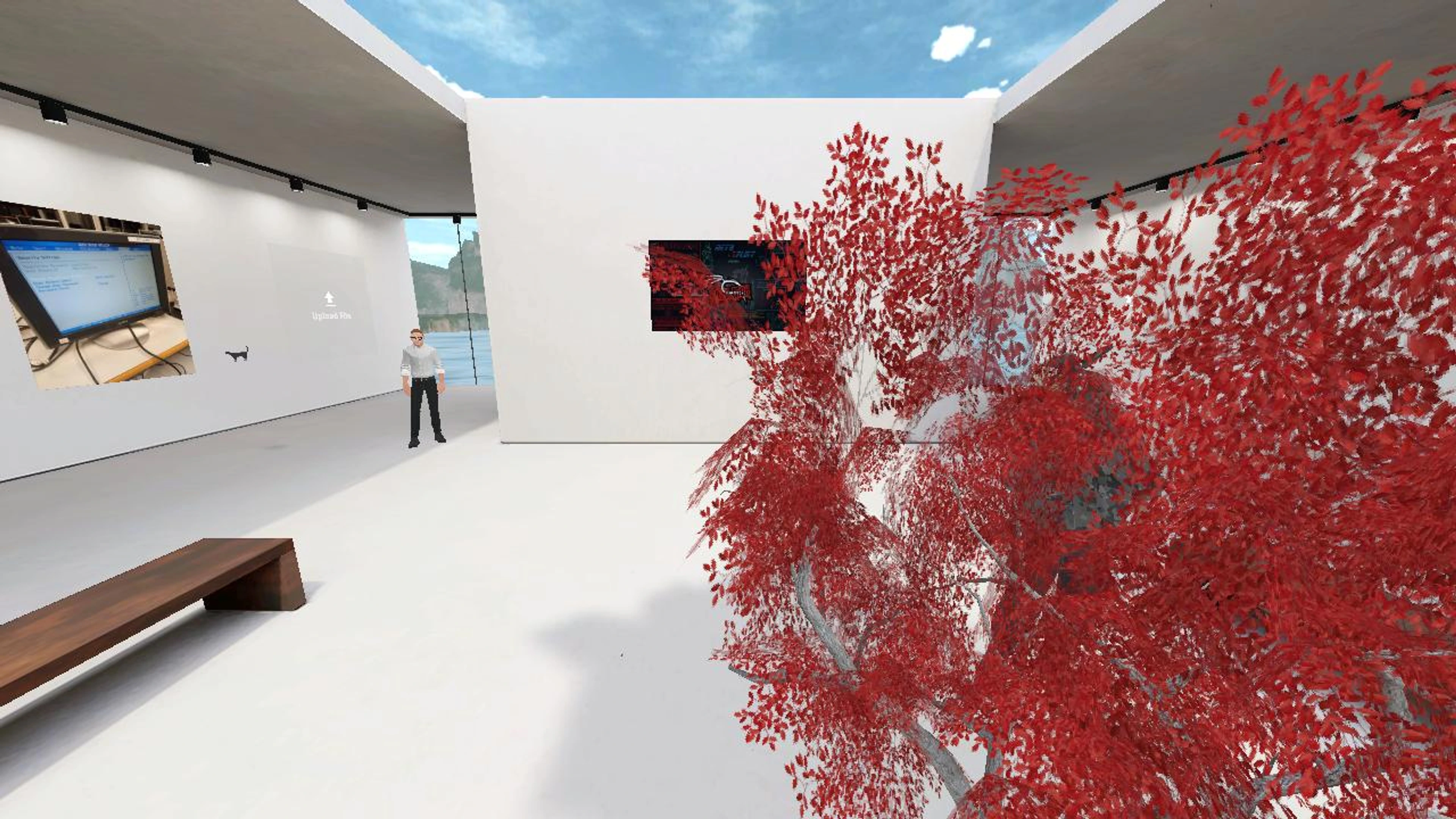 xandree's Hi-Fi Scene