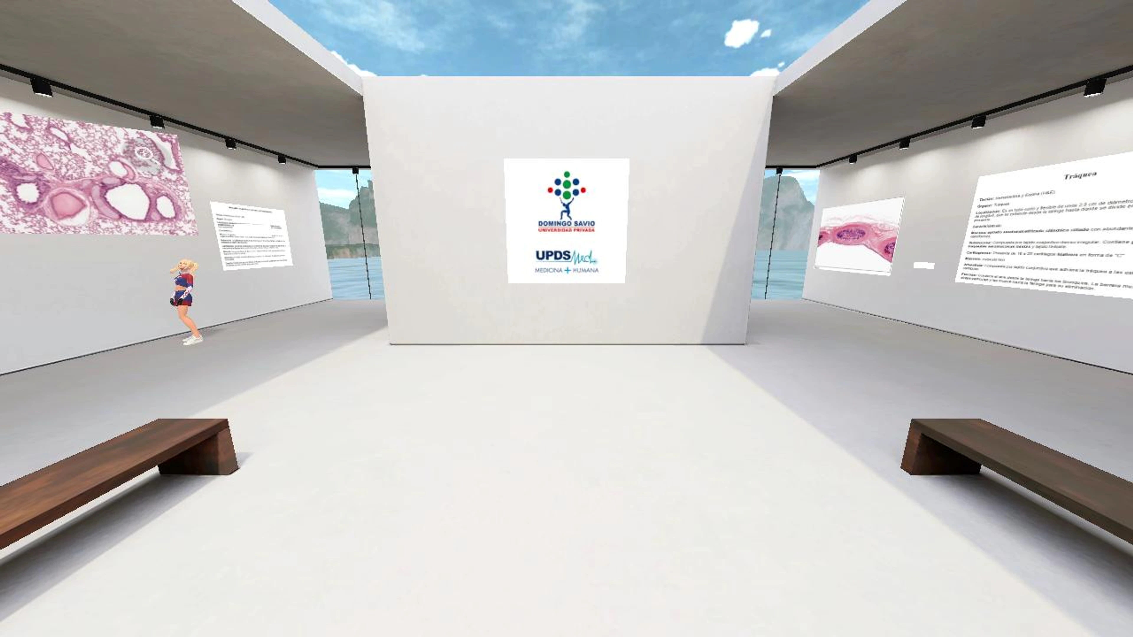 Los Macrófagos's Virtual Place