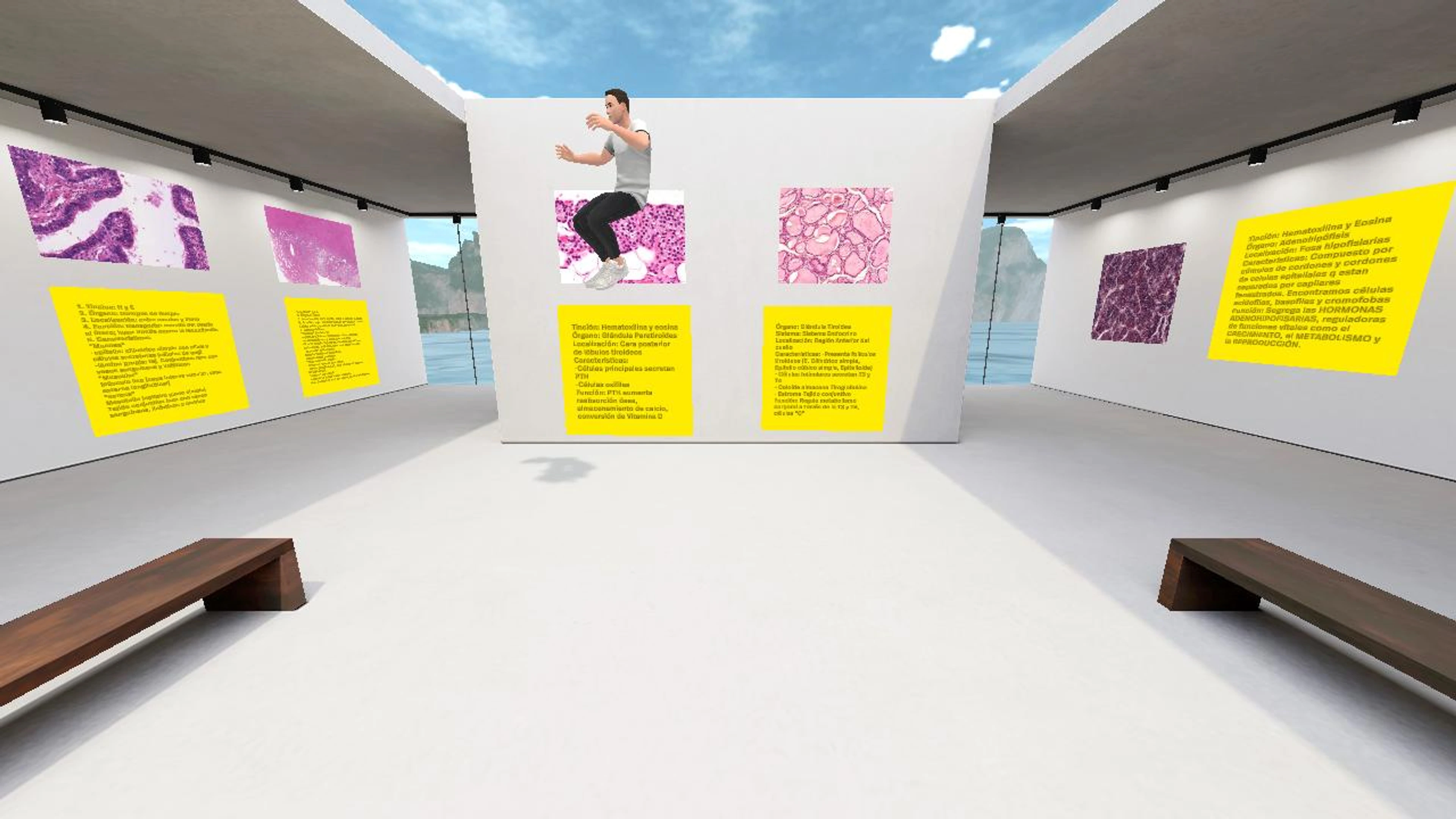 SixDaniel200361's Virtual Place