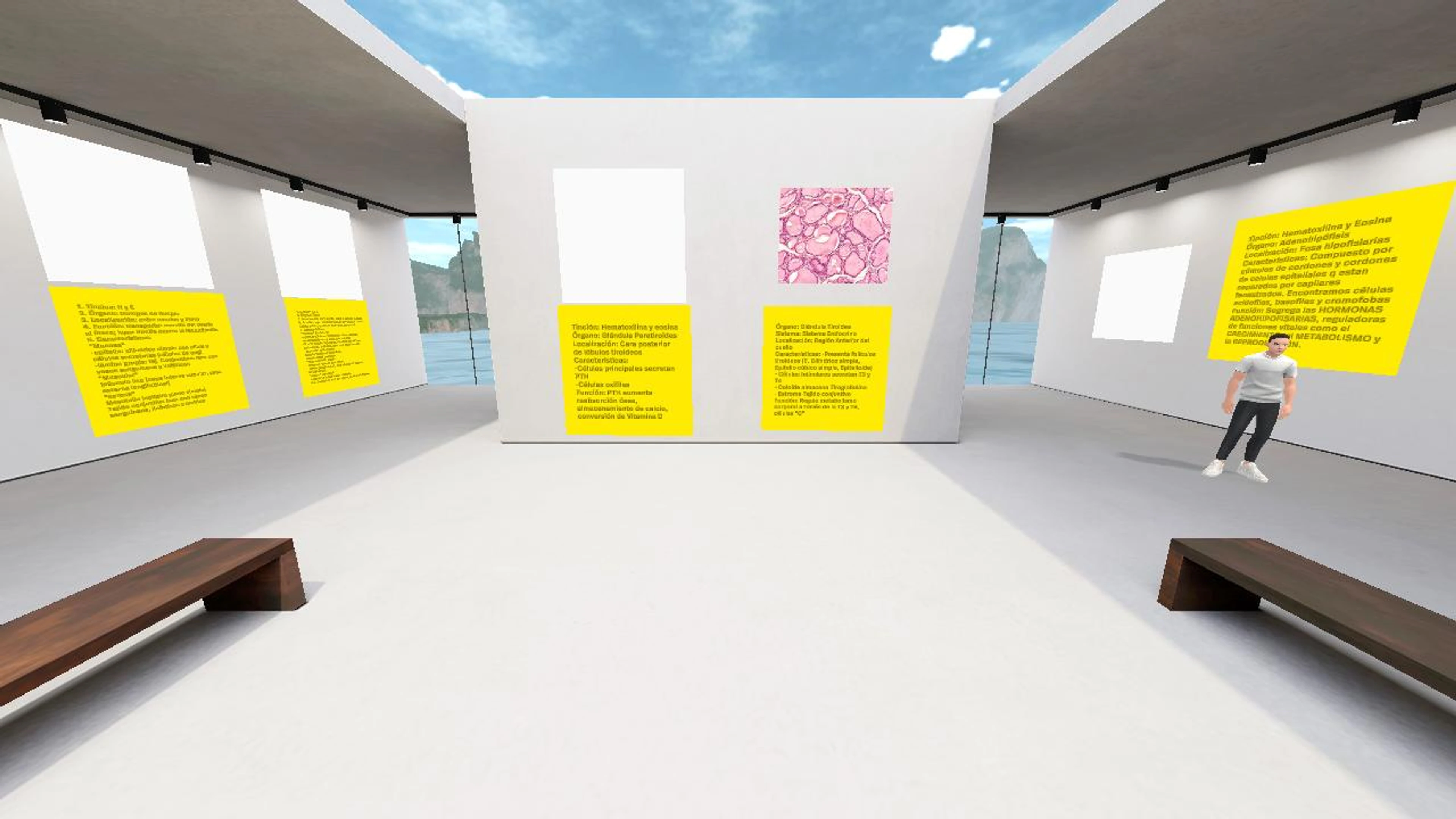 SixDaniel200361's Virtual Place