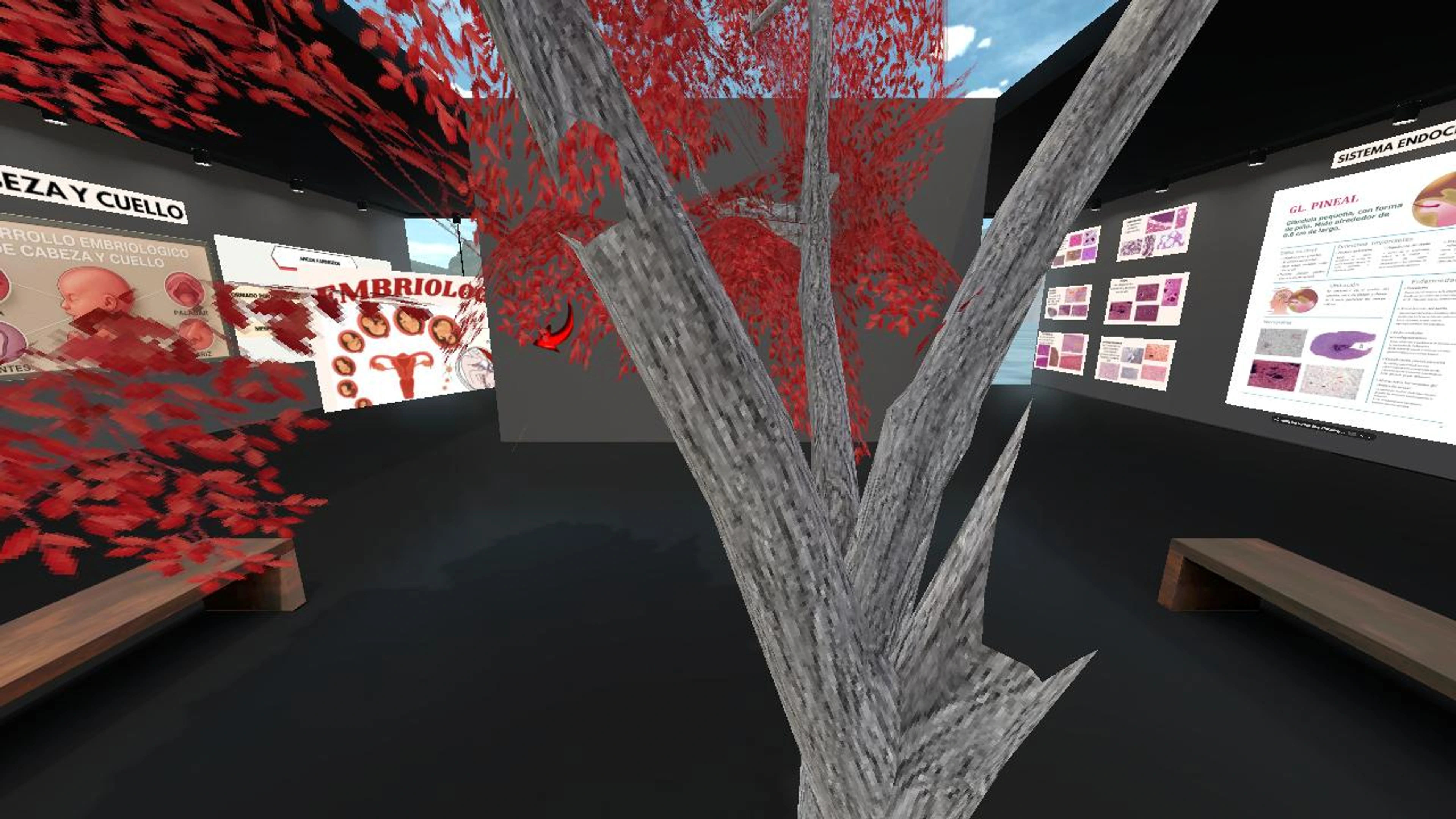 Fiorela_Cordova's Immersive Meetup