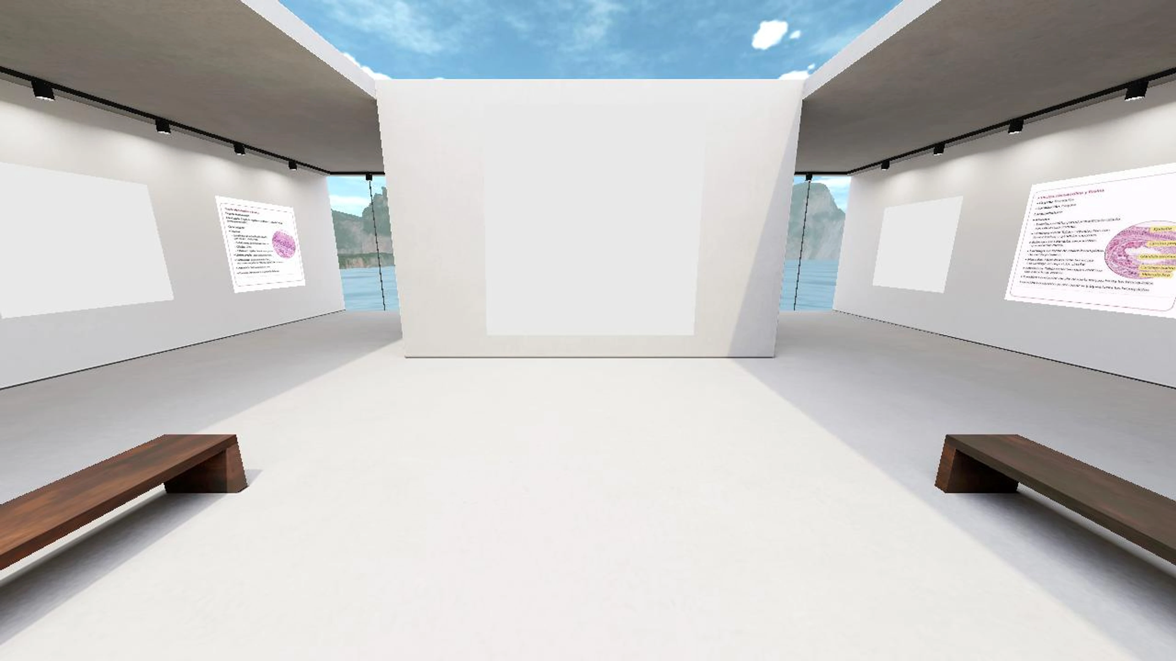 micaela_mireya's histologia