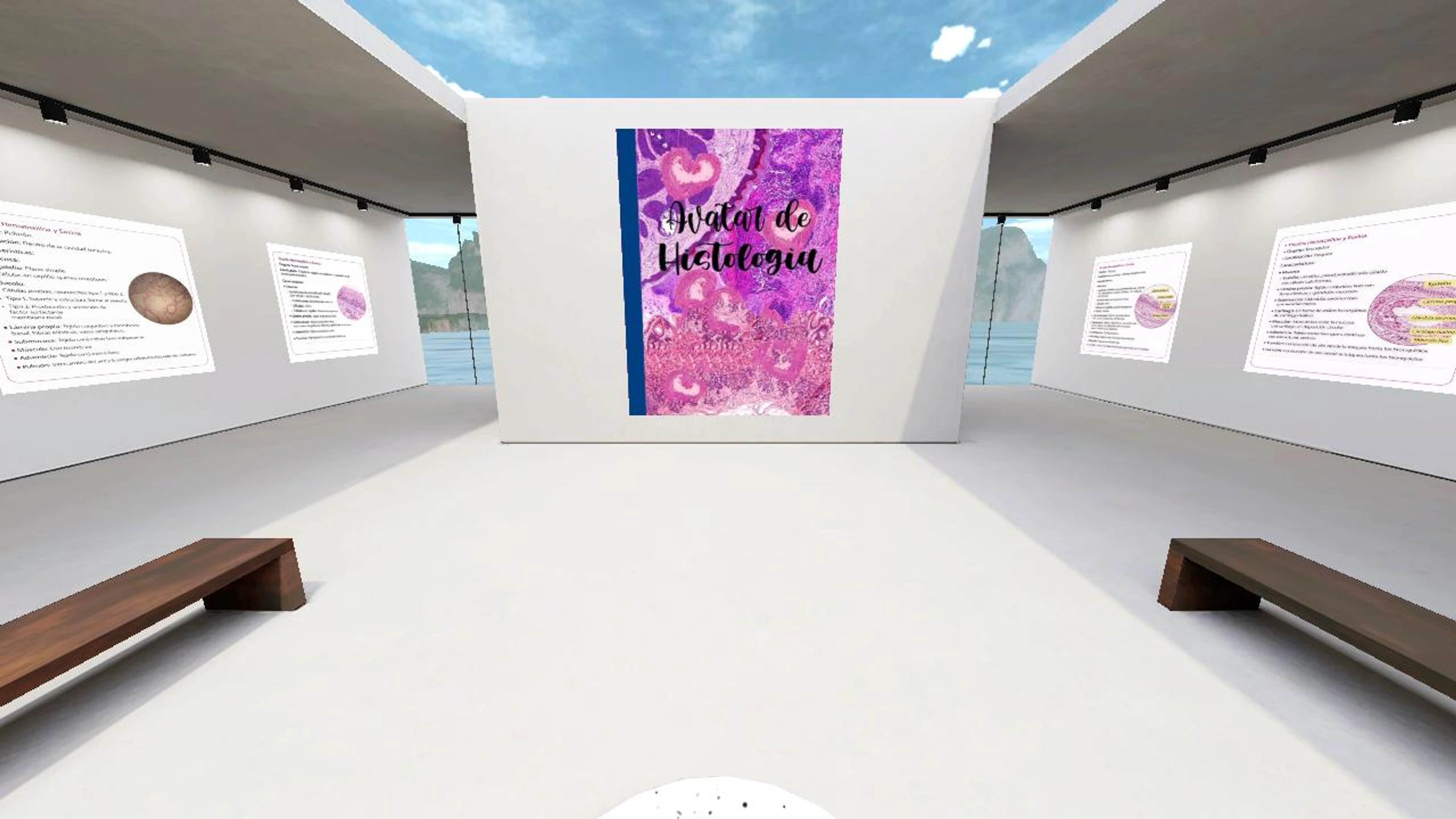 micaela_mireya's histologia