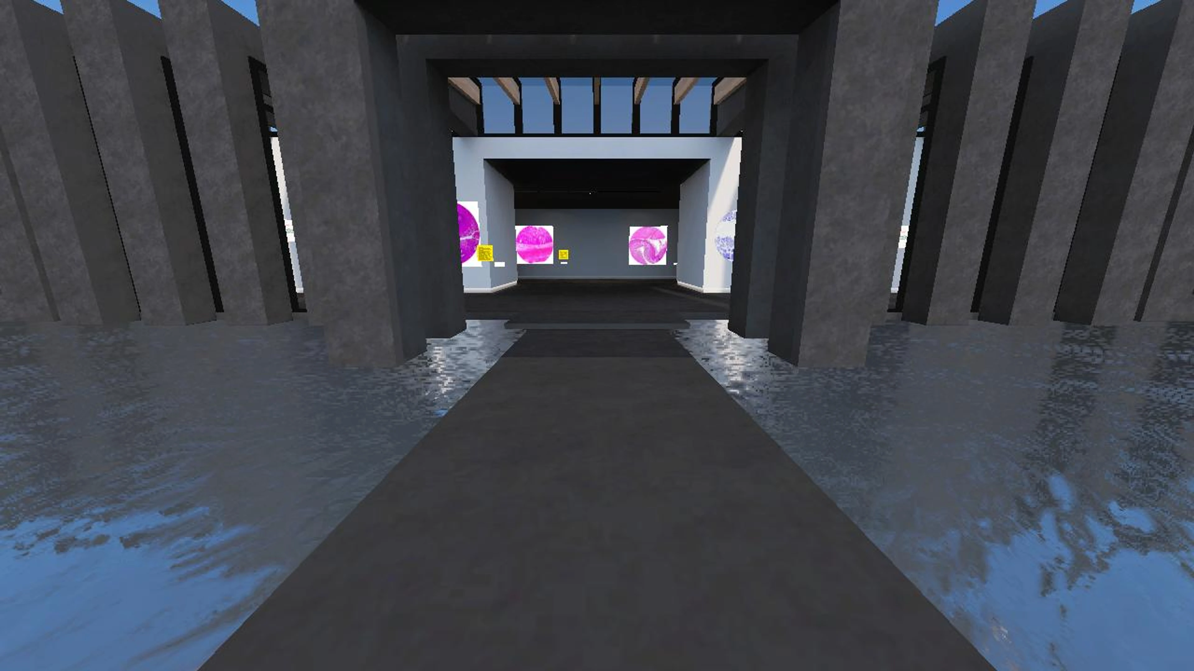 ATLAS DE HISTOLOGÍA