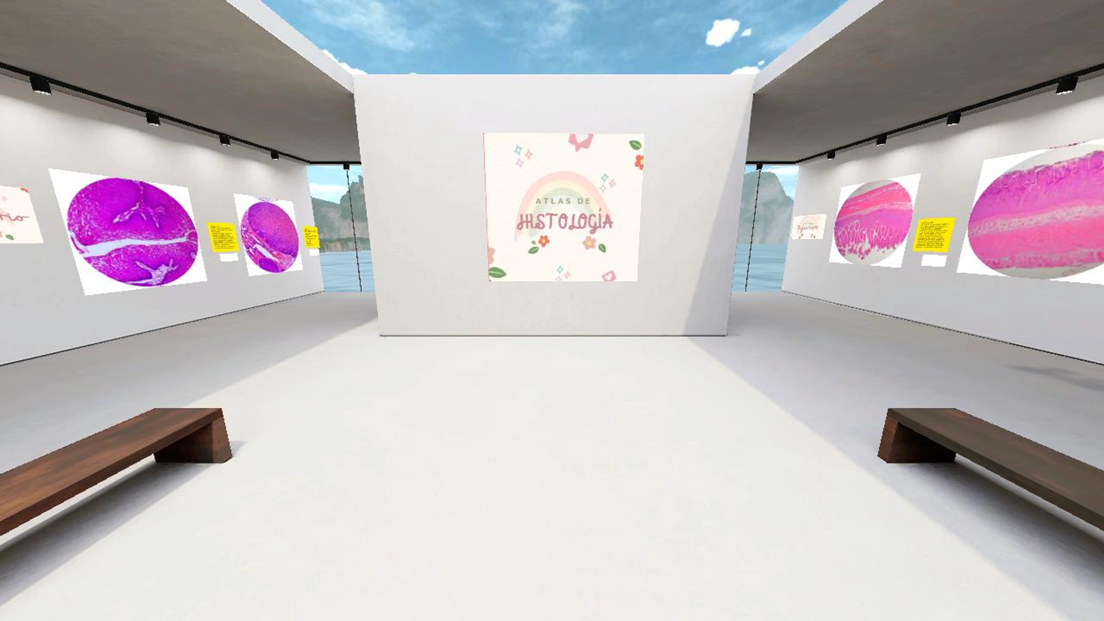 ATLAS DE HISTOLOGÍA II