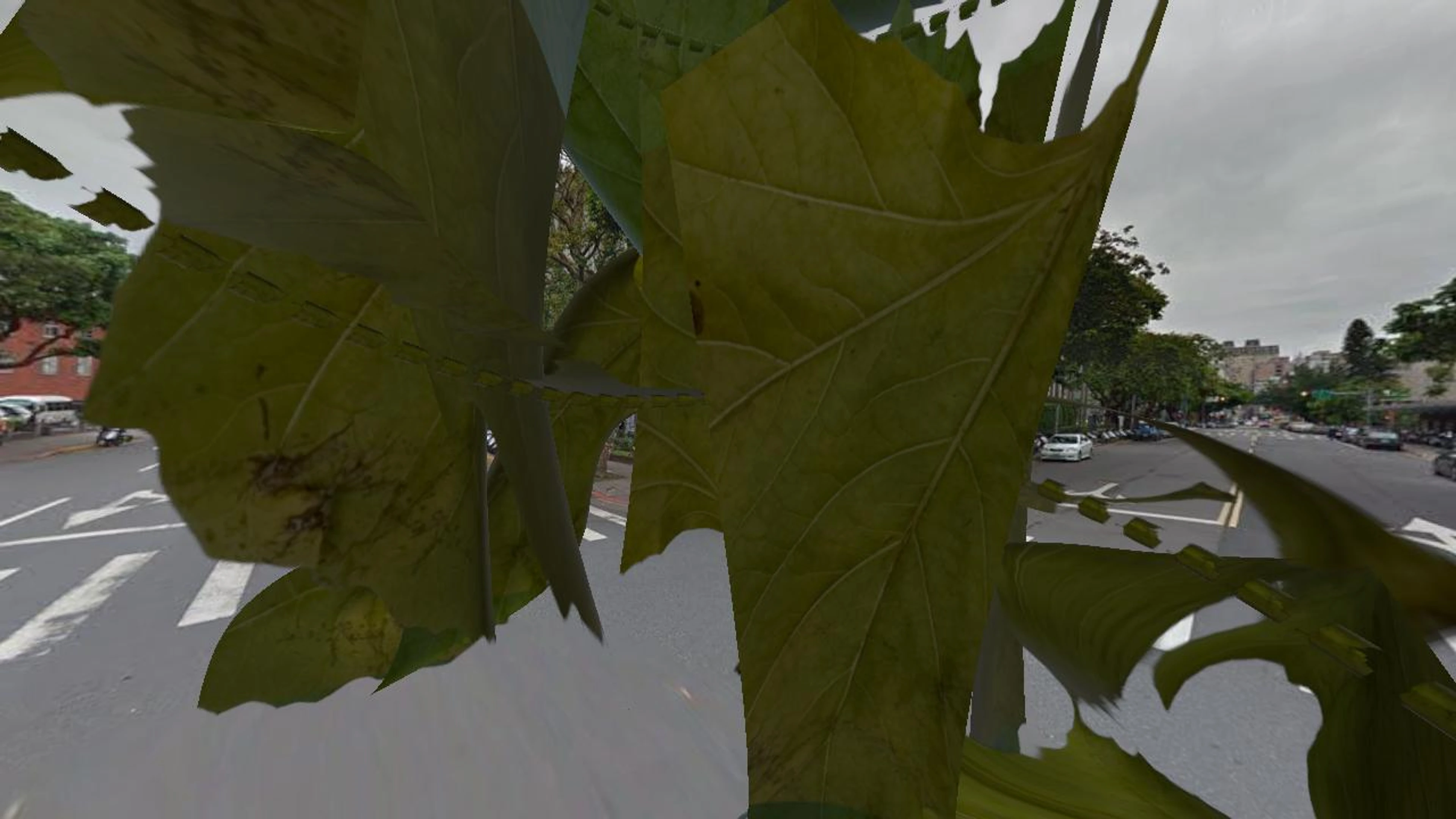 guagua0927's Digital Area