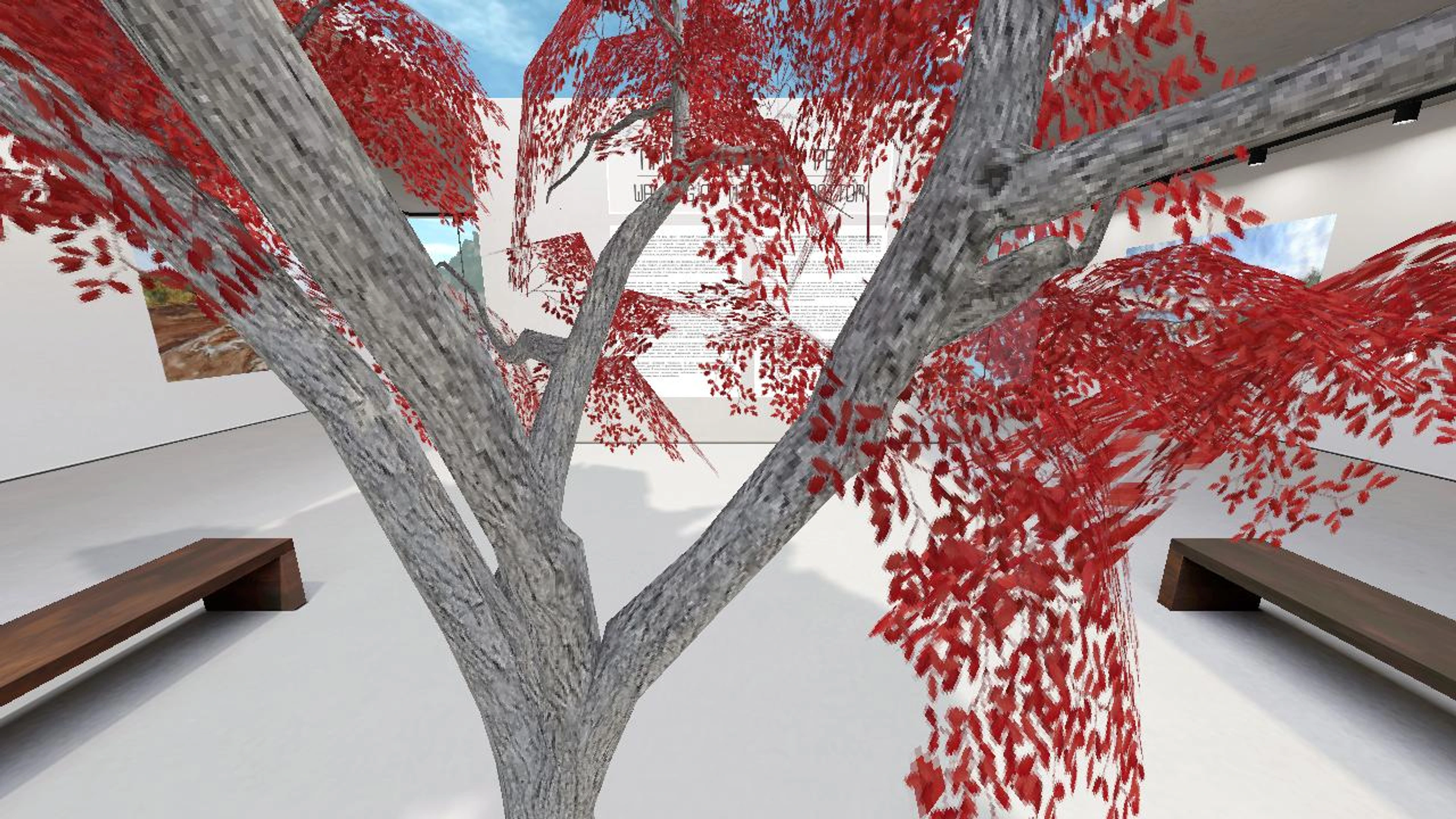 Virtual exhibition: "Прогулки по дну реки"