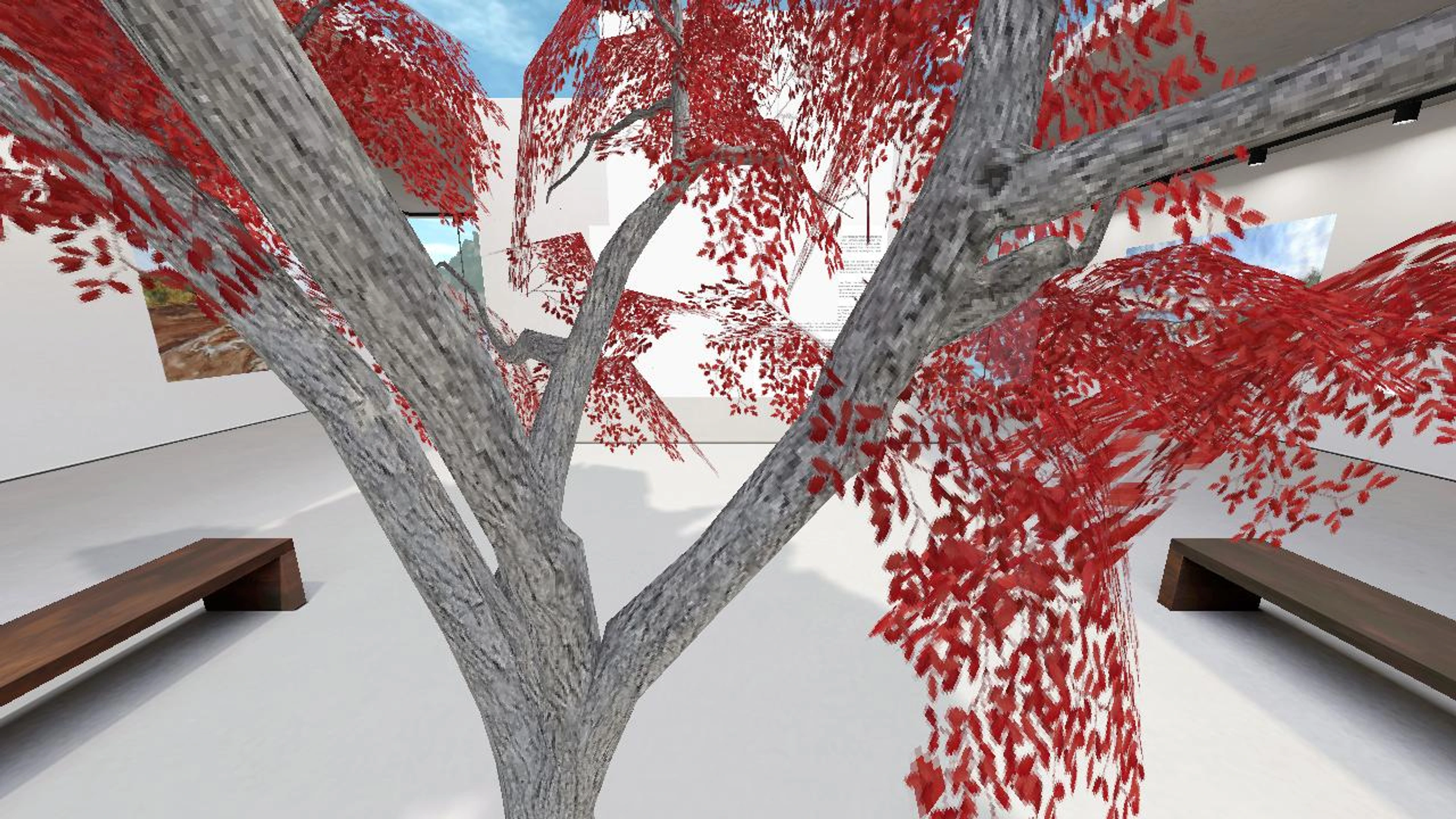 Virtual exhibition: "Прогулки по дну реки"