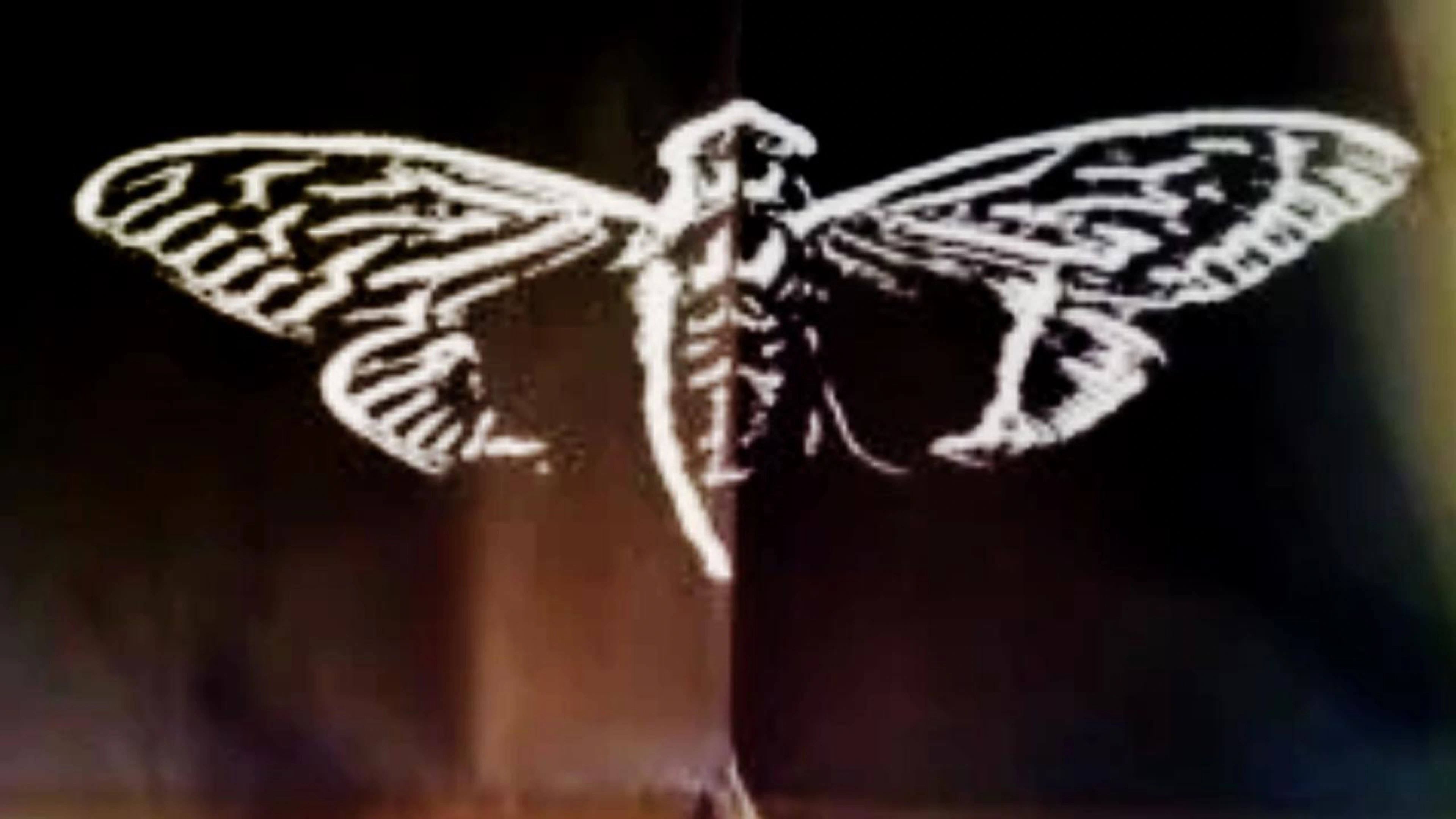 THE GAME23 BACKROOMS