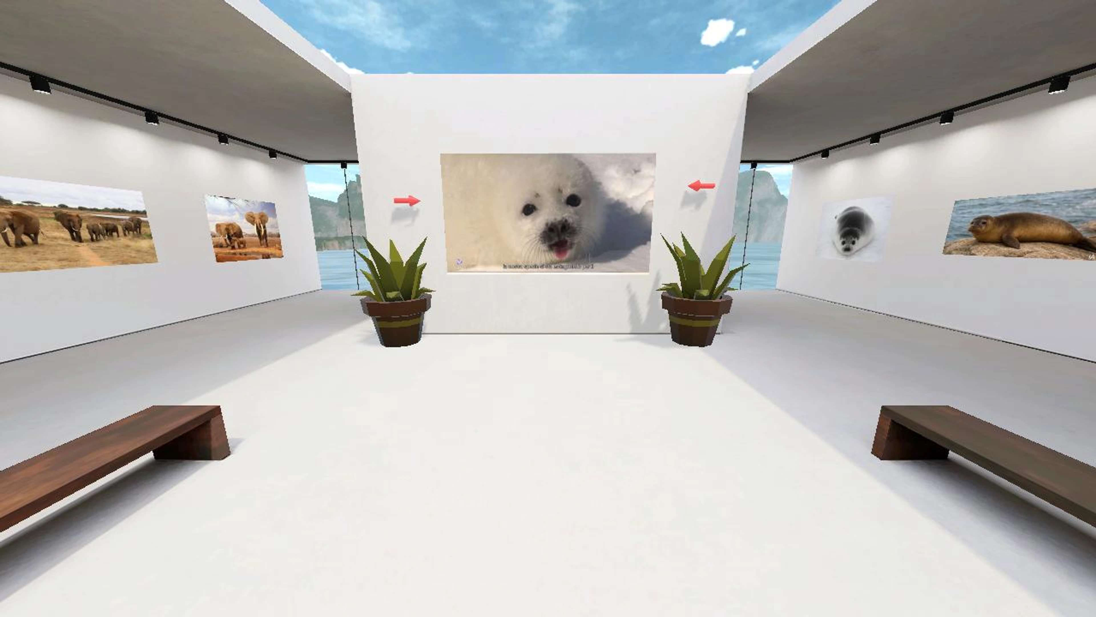 Museo degli animali in estinzione