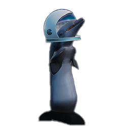 Space Dolphin Avatar