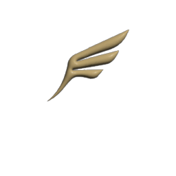 Ira Wings Bronze