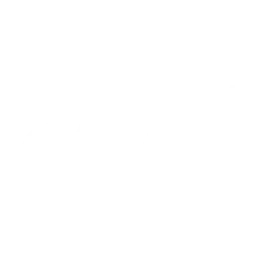 Utah Jazz